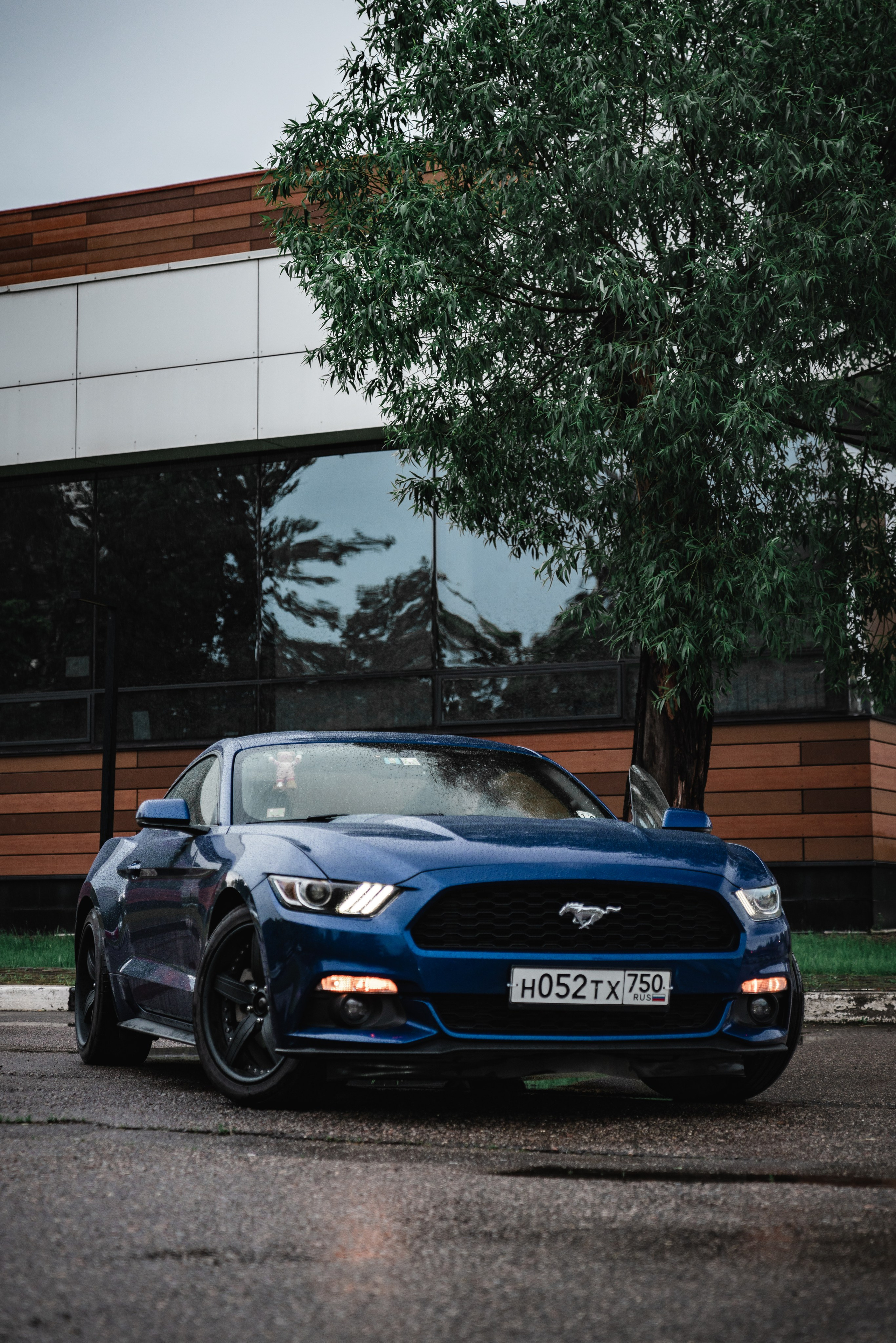 AUTO. Фотограф Видеограф Москва Наместникова Яна