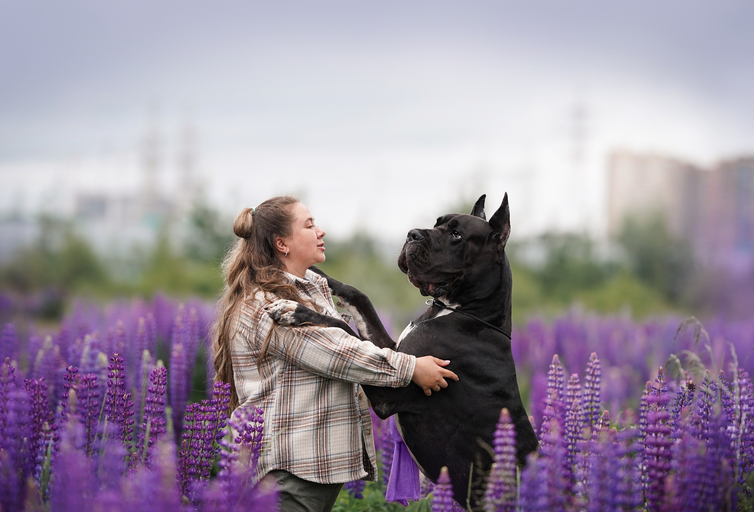 Вика и Трофей люпины. Фотограф-анималист в Санкт-Петербурге Яна Мартынова