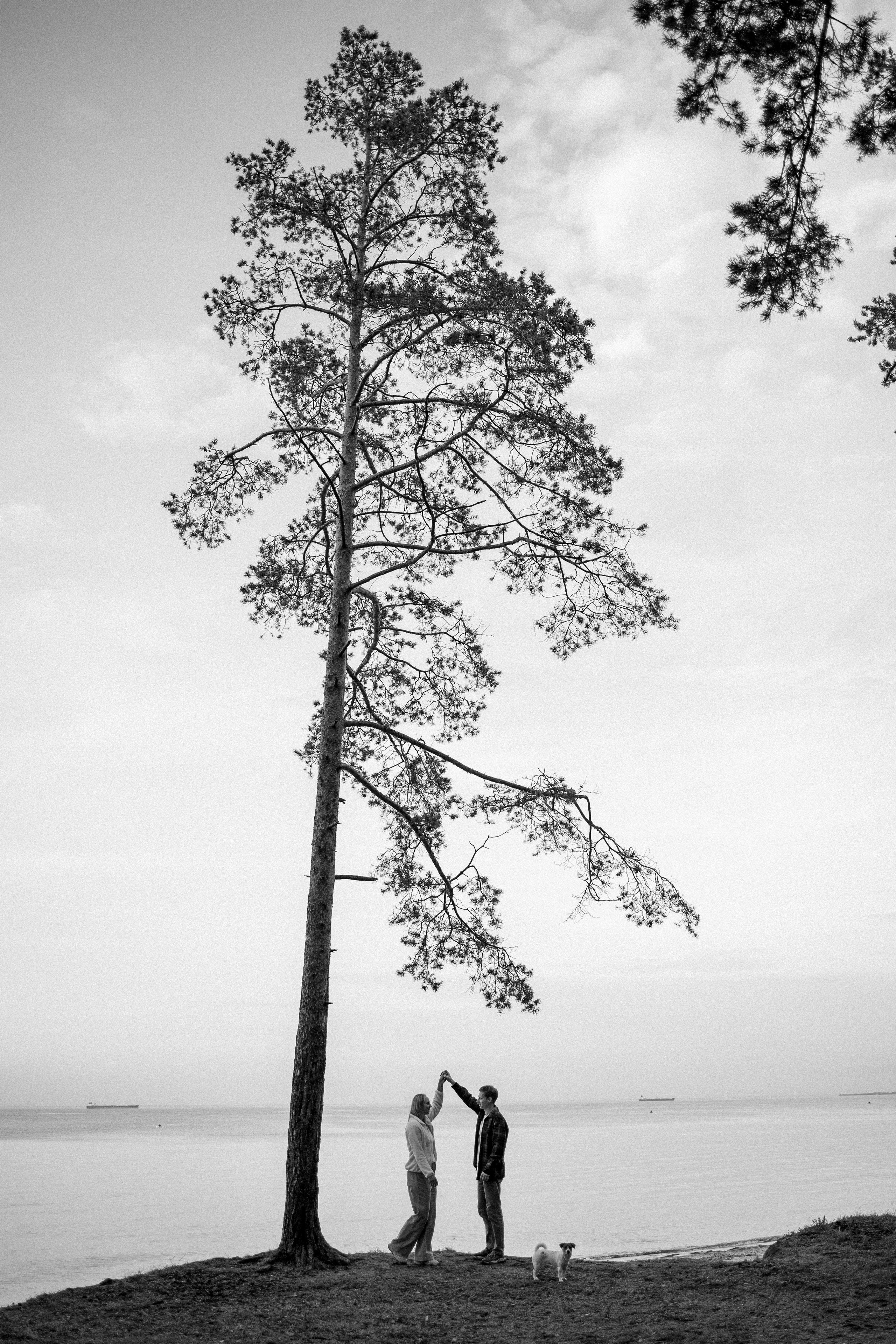 Лея и ее семья. Фотограф — Анималист | Санкт-Петербург