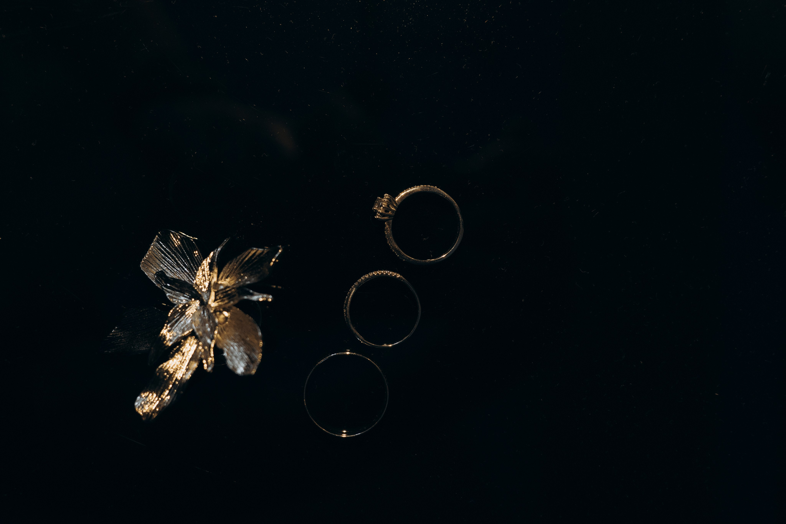 Елена и Дмитрий. Свадебный фотограф Москва Павел Фетисов