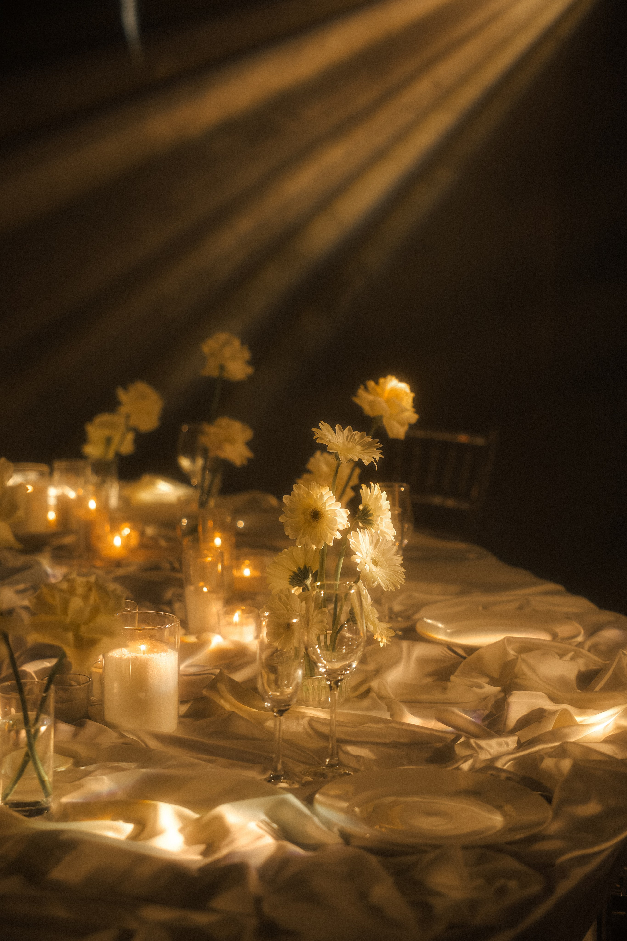 Вероника & Максим. Phdkvmr.ru