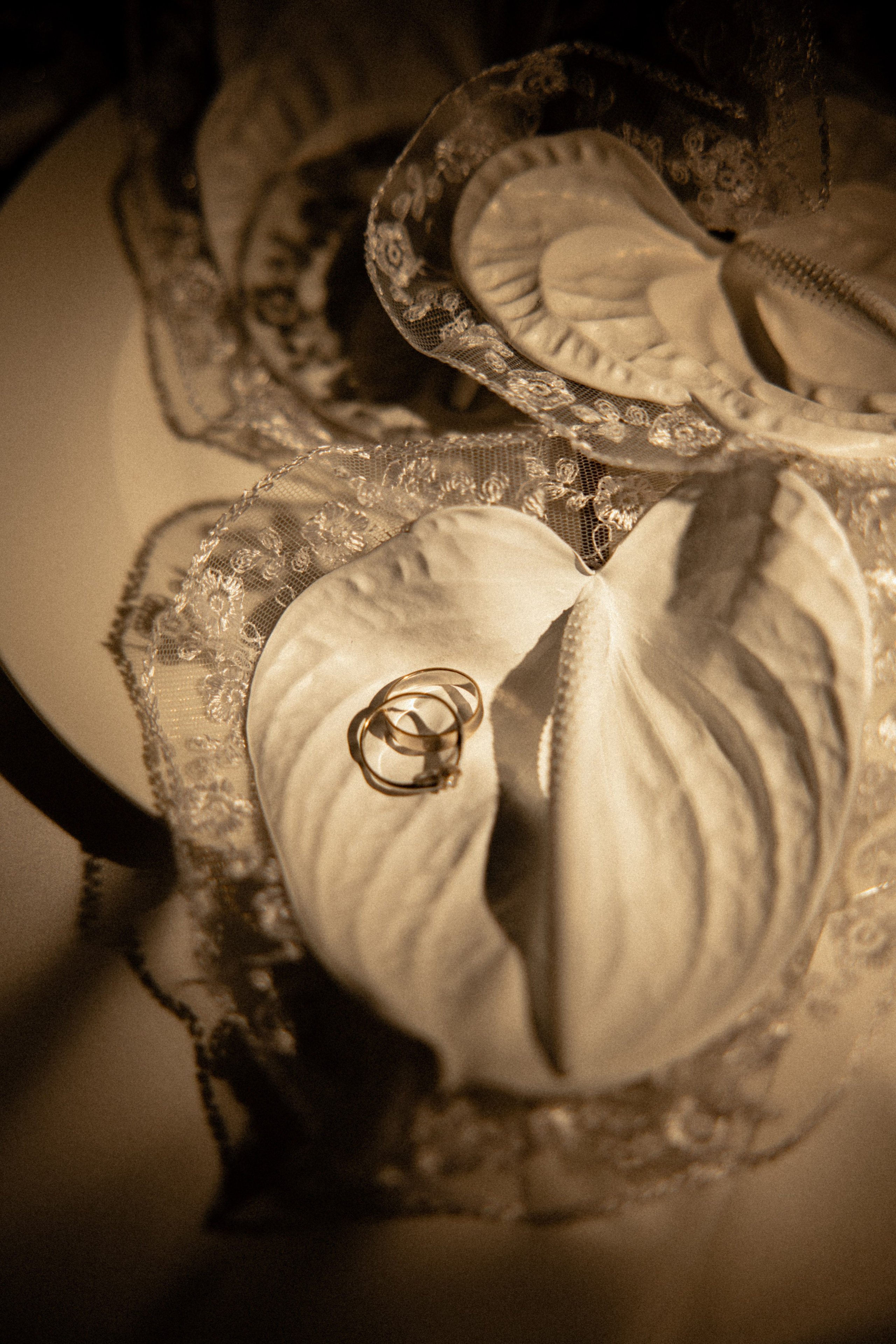 Вероника & Максим. Phdkvmr.ru