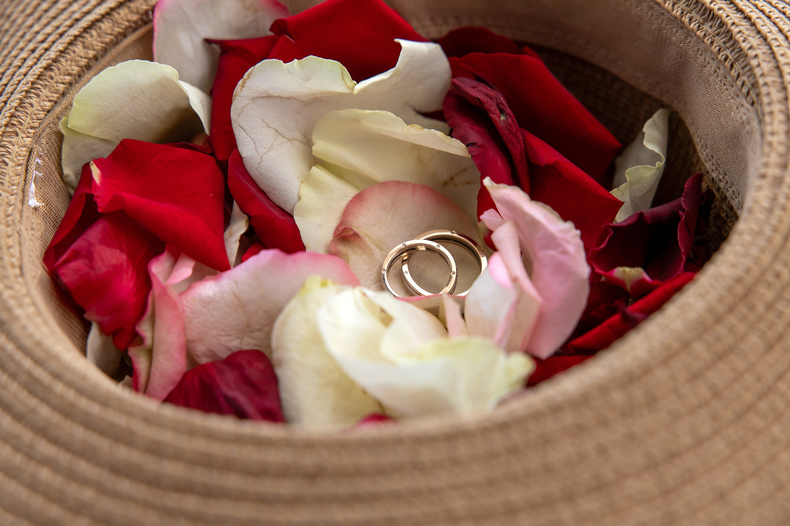 Макс и Ира 19.09.25. Семейный и свадебный фотограф в Геленджике Михаил Шматов