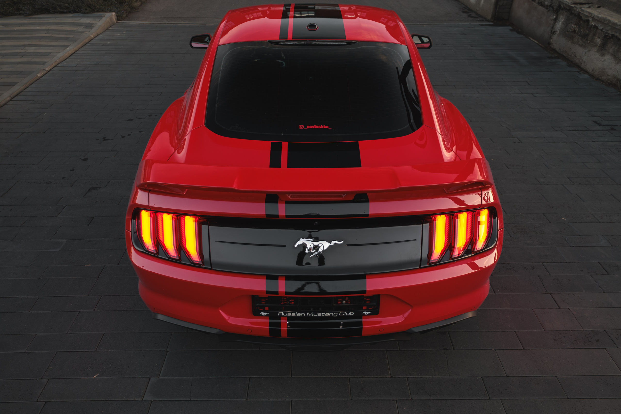 Mustang. Мелехов Дмитрий|Фотограф|Видеограф