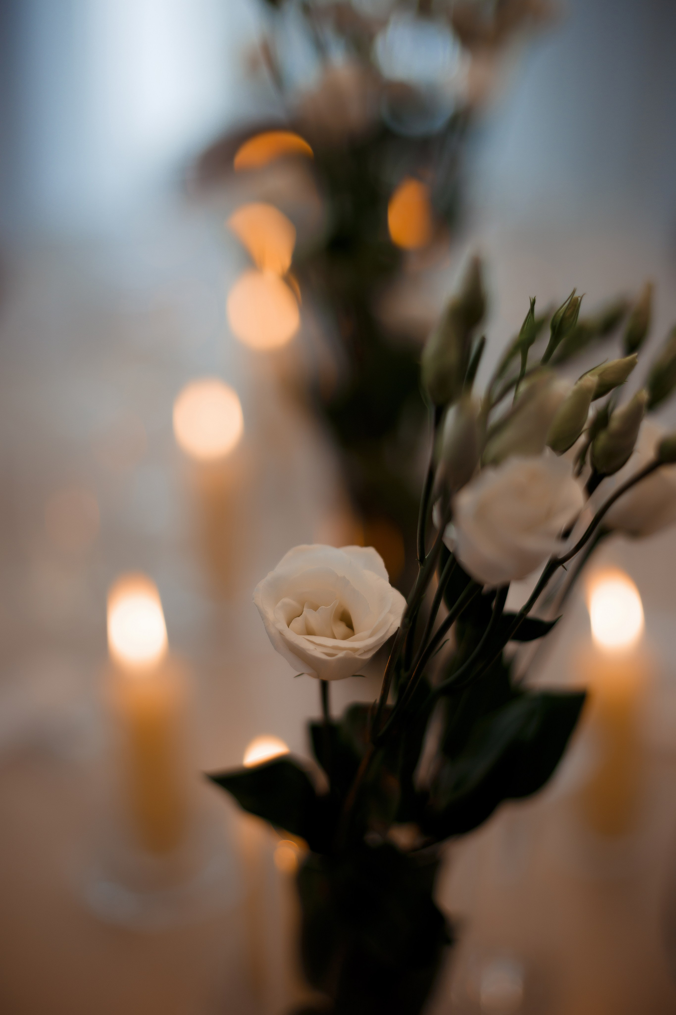 Женя & Таня. Свадебный и семейный фотограф Черняева Анна| Нижний Новгород