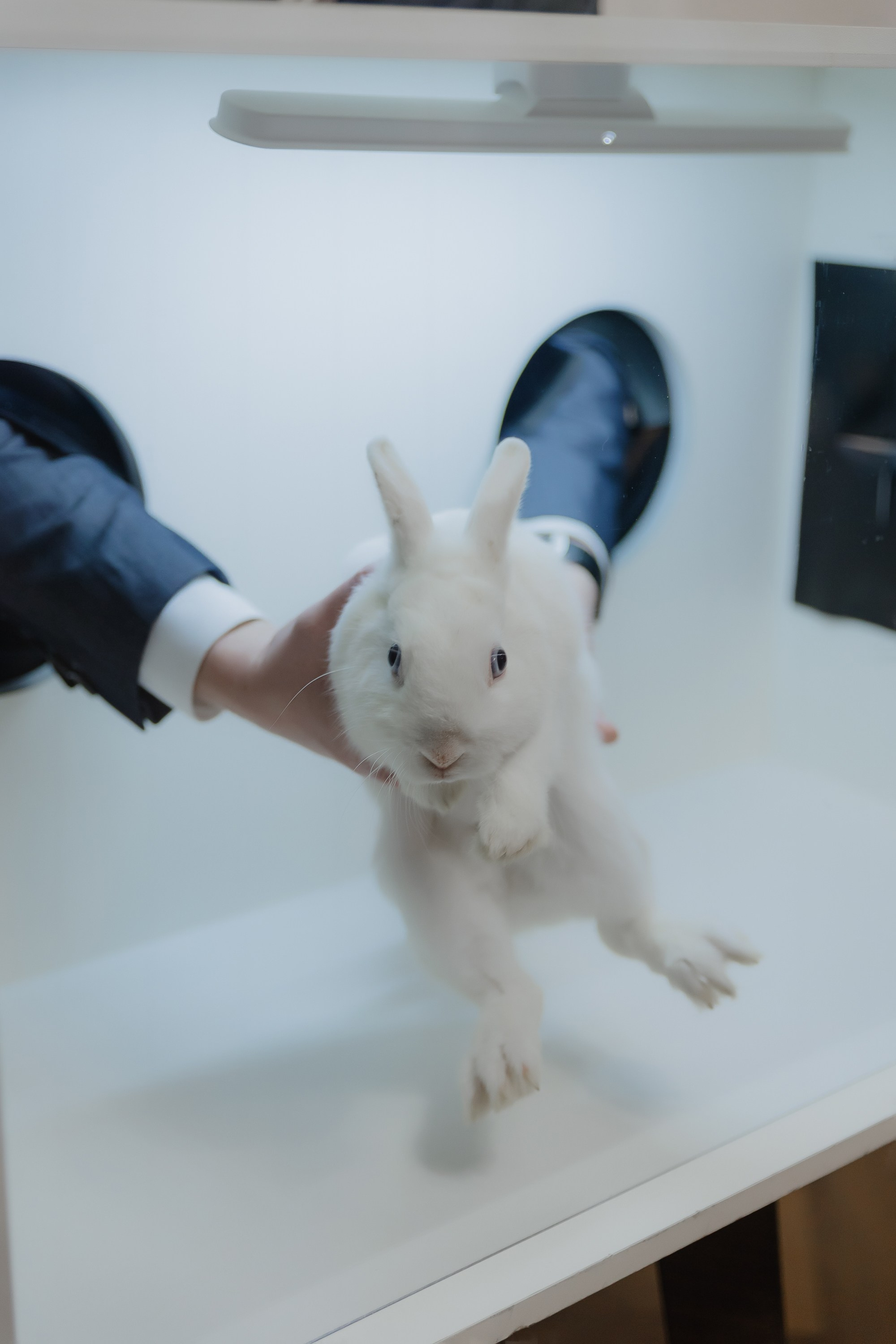 Открытие нового пространства интерьерного салона L. DECO в феврале 2025. L. Deco интерьерный салон. Краски/обои/лепной декор