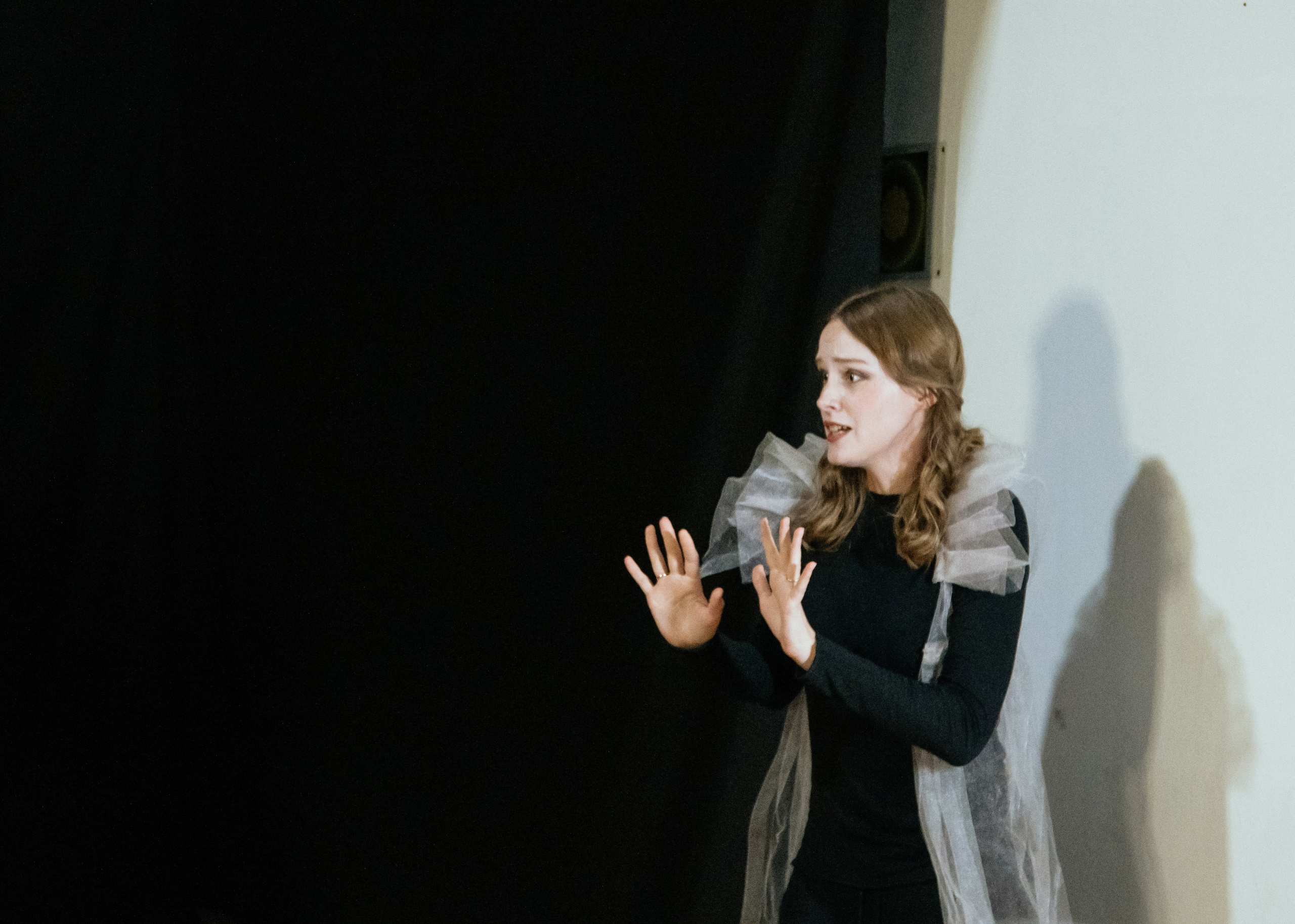 Shakespeare. Art-photographer Ira Wind