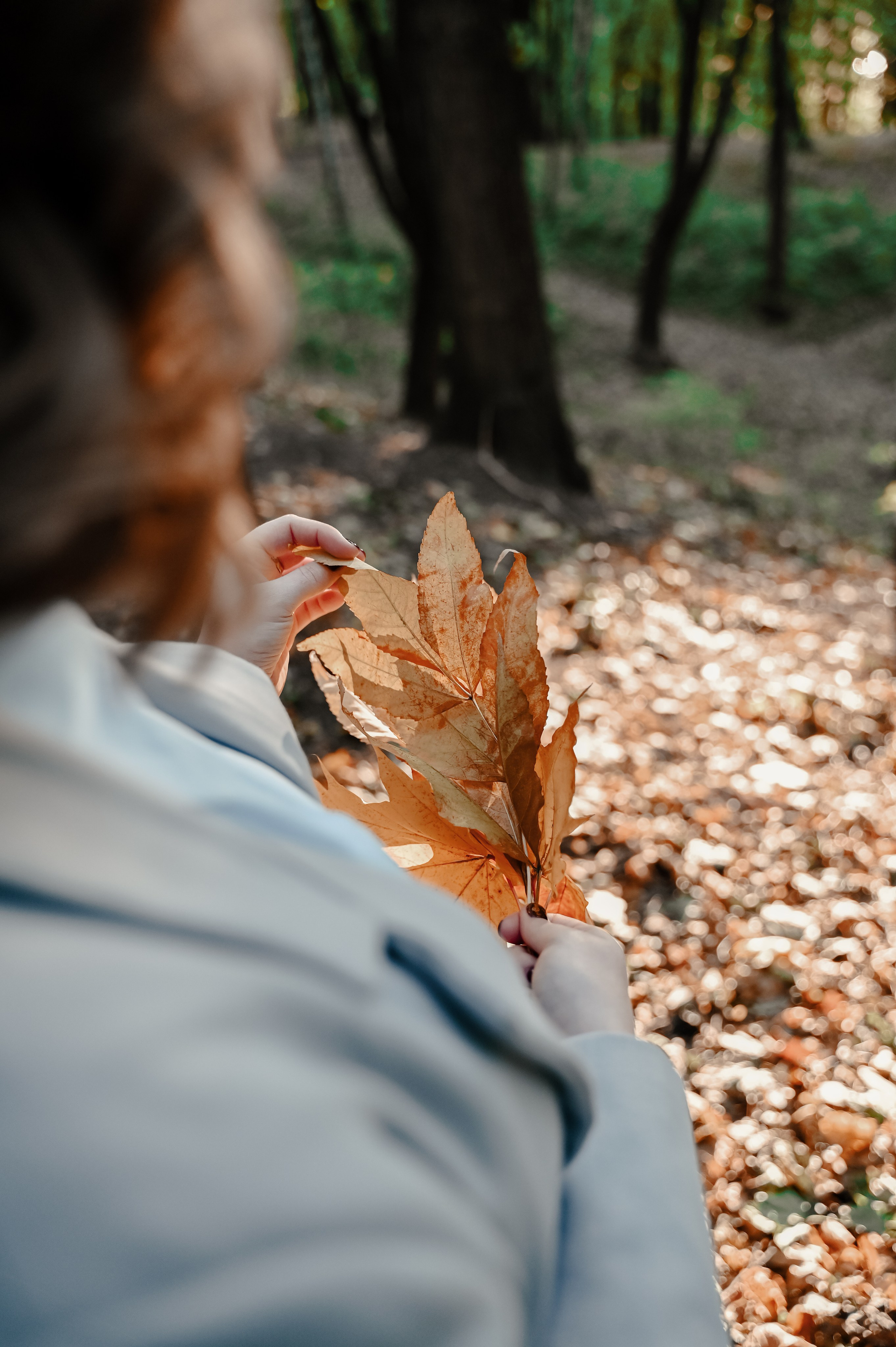 Осень в парке Горького