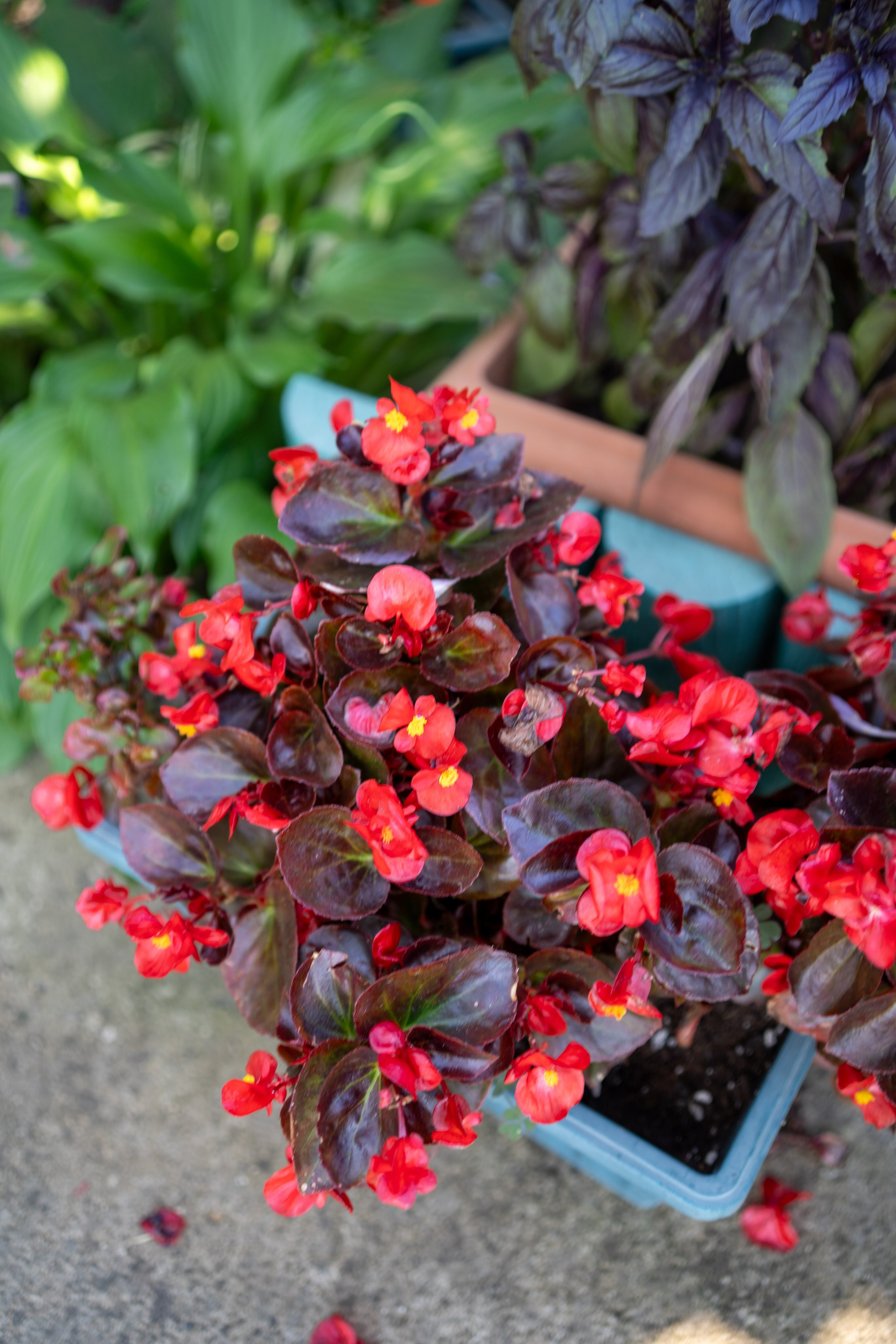 Съемка для патронажной службы. Фотограф и маркетолог Андрей Юрилин Саратов и Энгельс