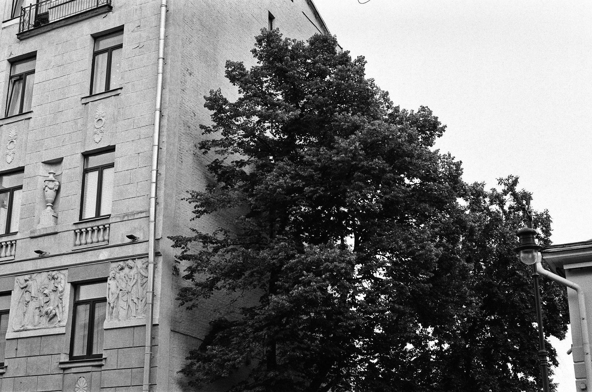 Нескучный сад и Остоженка. Другой Павел Поцелуев. Фотограф в 2025 году