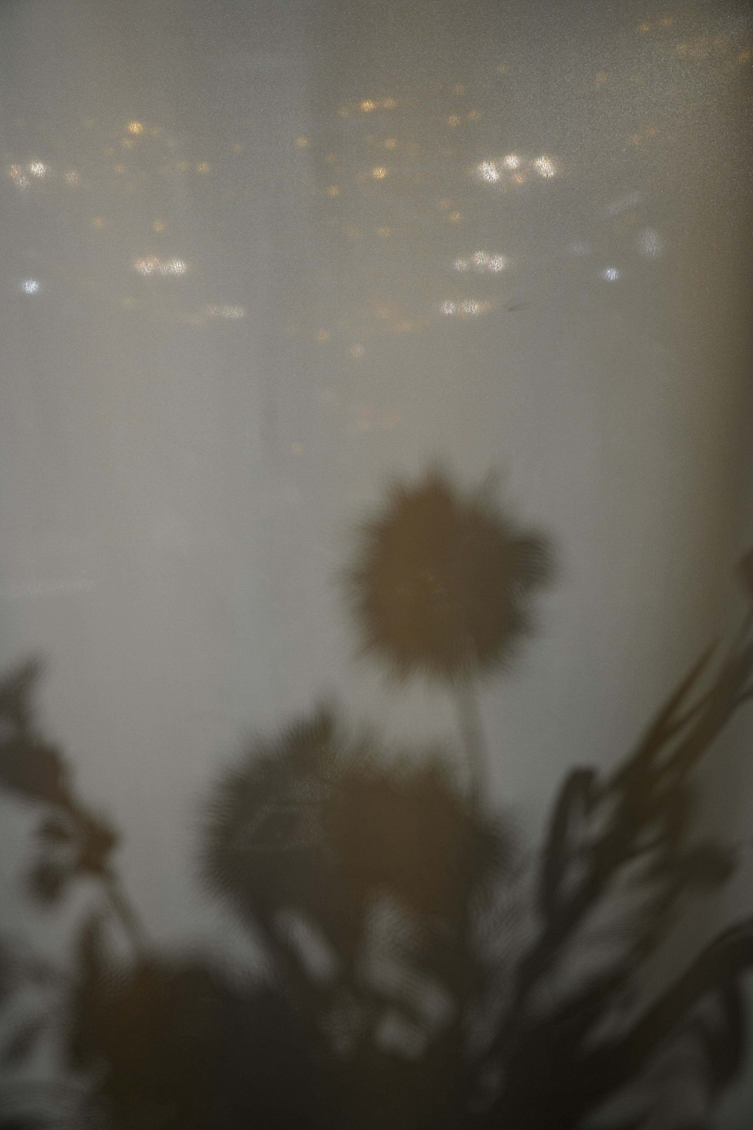 Манхэттен. Свадебный фотограф в Москве Владимир Симонов