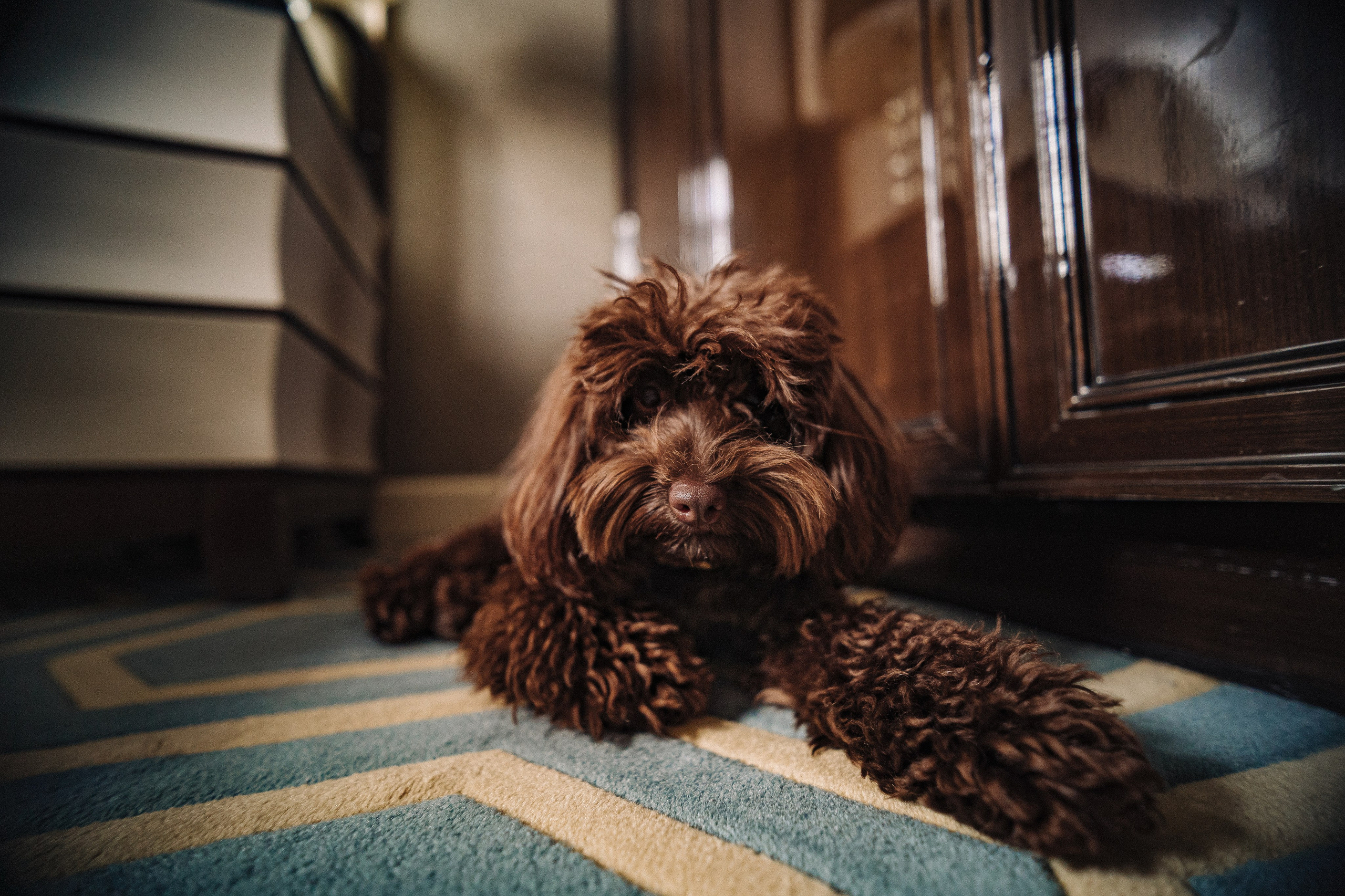 Morning in st. Regis. Студия коммерческой фотографии в Москве и области