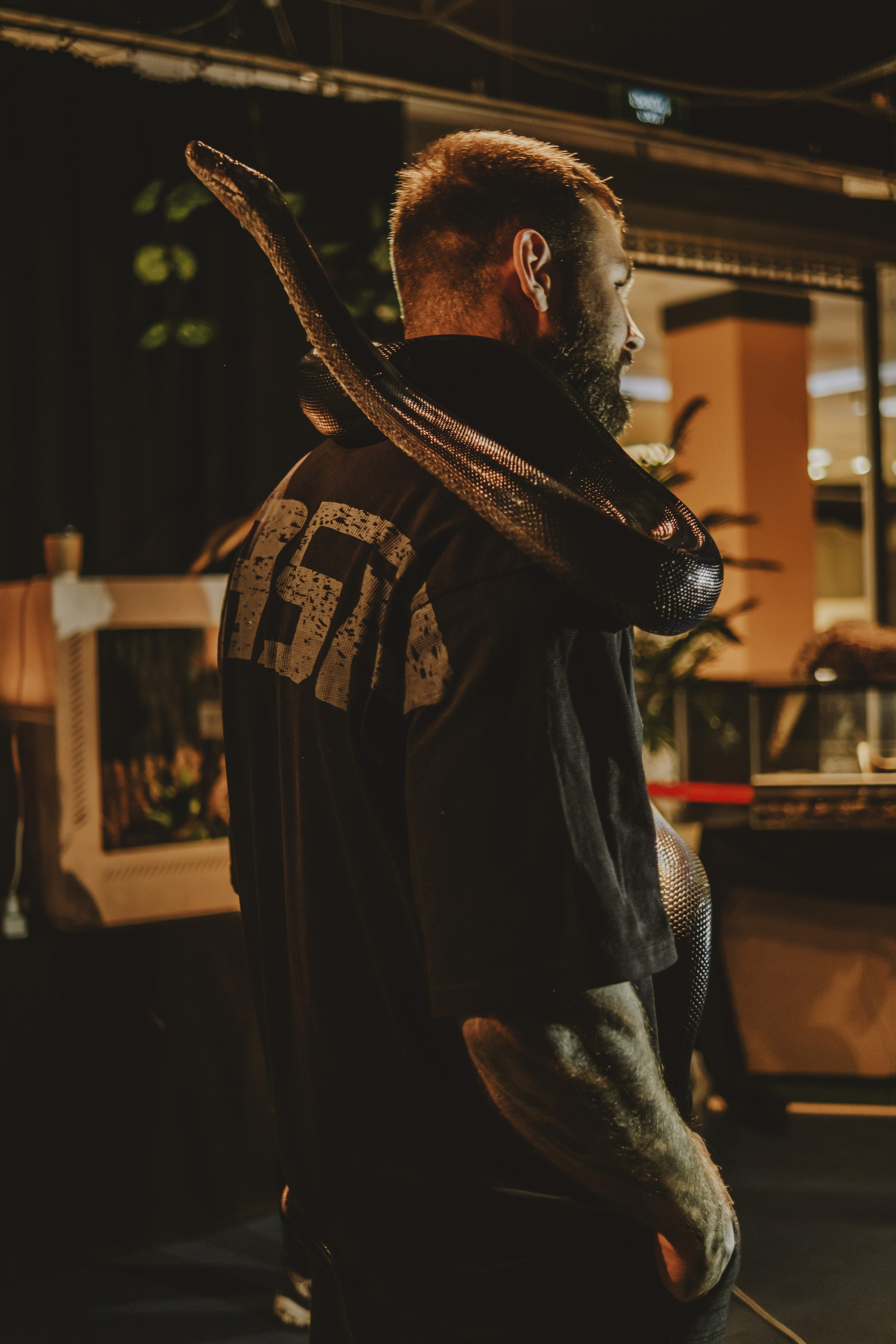 Дом Драконов. Nattie.ph