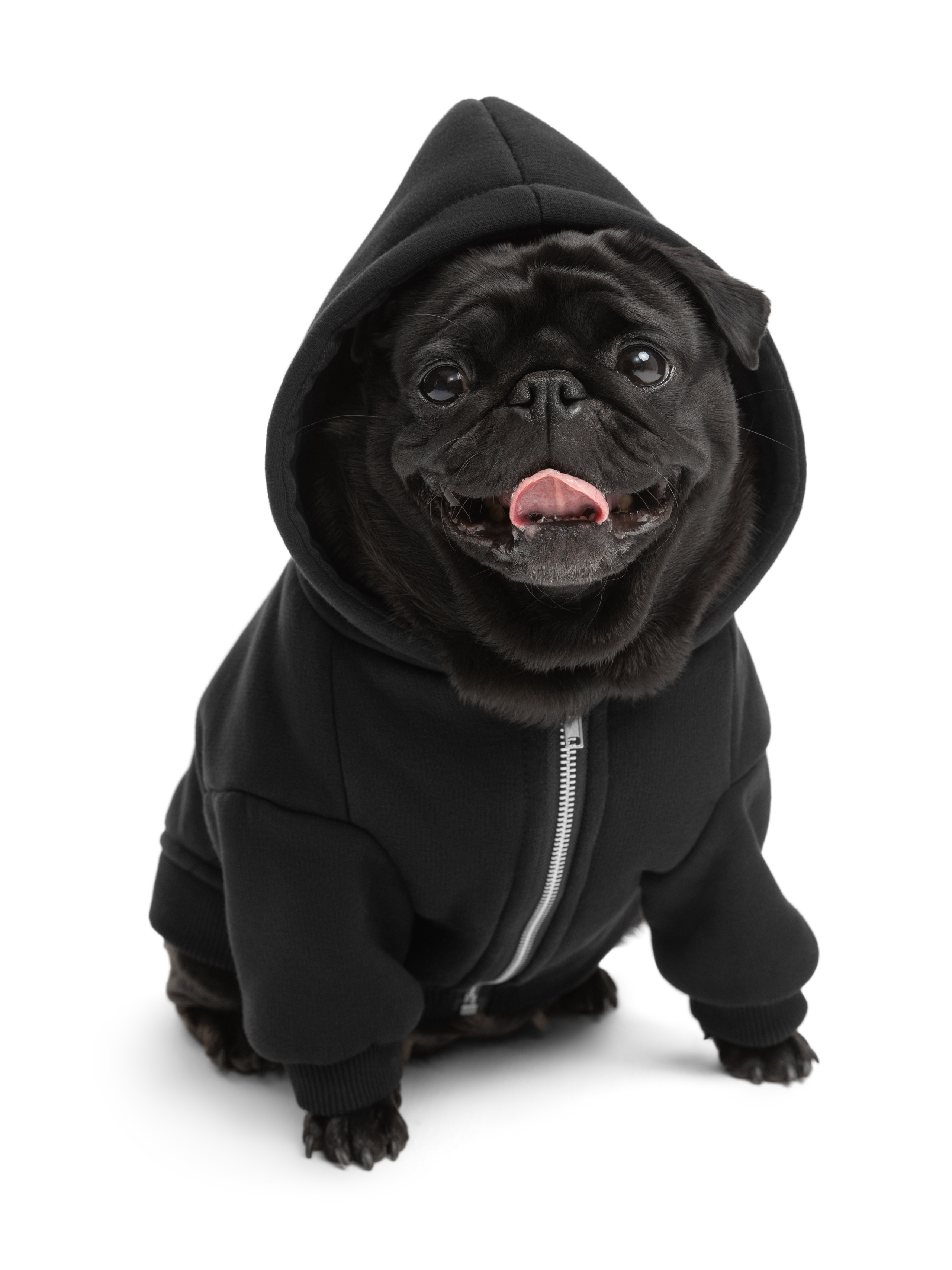 Одежда для собак Pet Subject. Олег Дмитриев