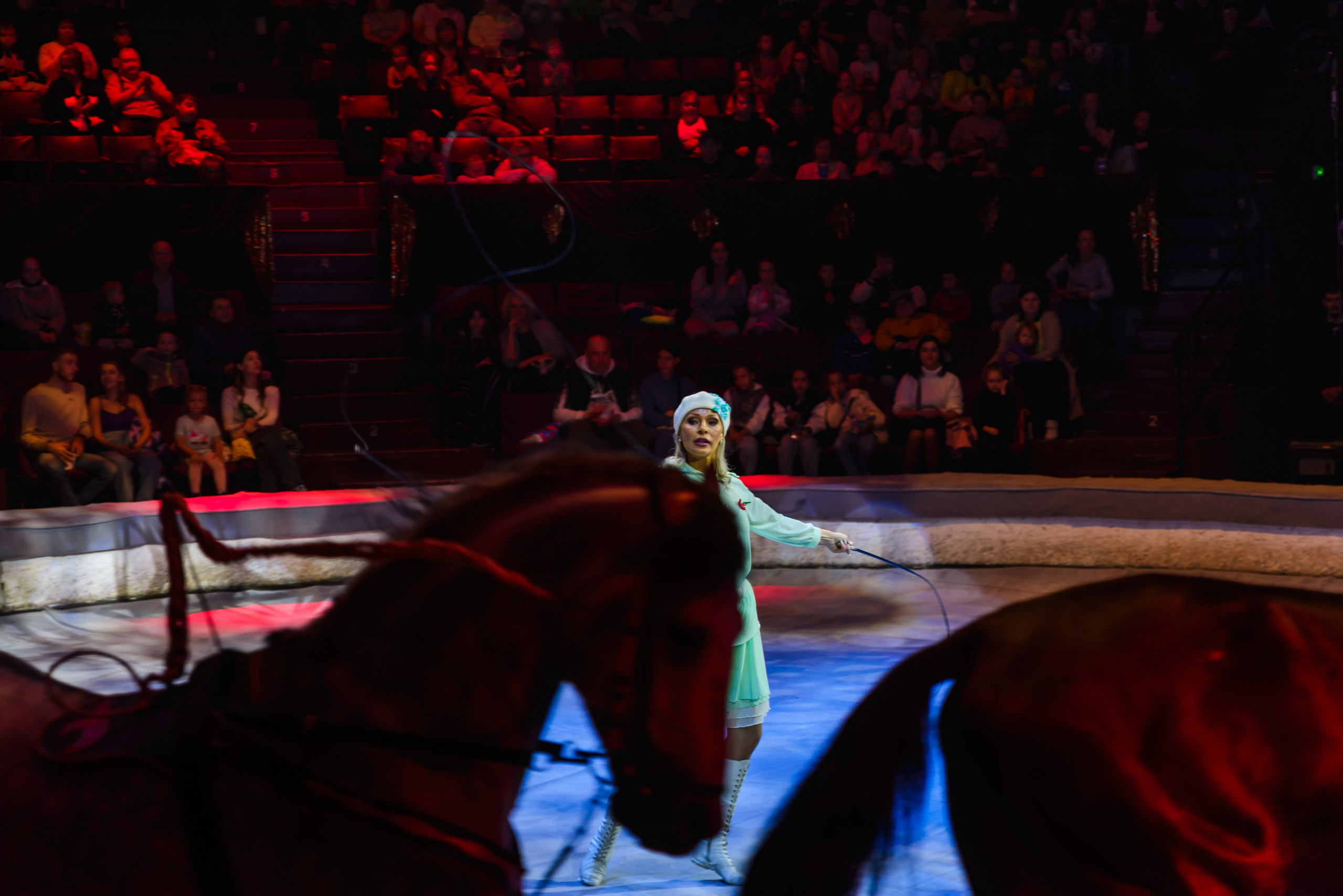 Пермский государственный цирк. Фотограф в Ханты-Мансийске Евгений Жуланов