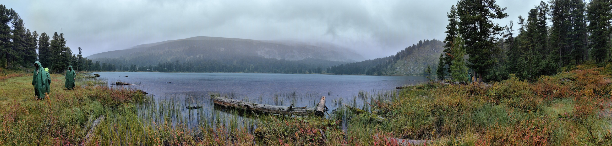 Алтай. Юрий Березнюк. Фотожурналистика