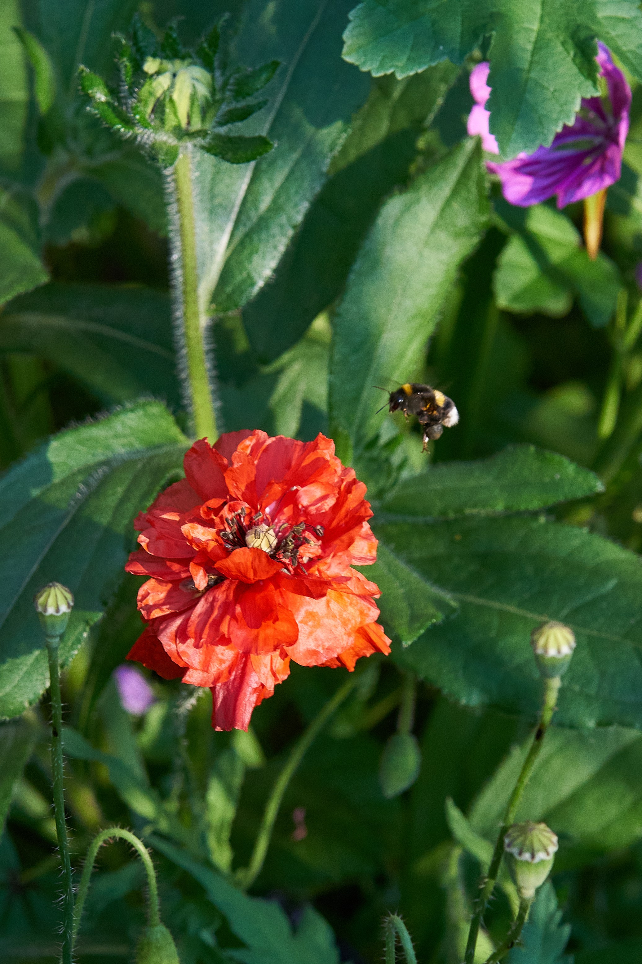 Наша мать — природа. Фотограф Владимир Артамонов