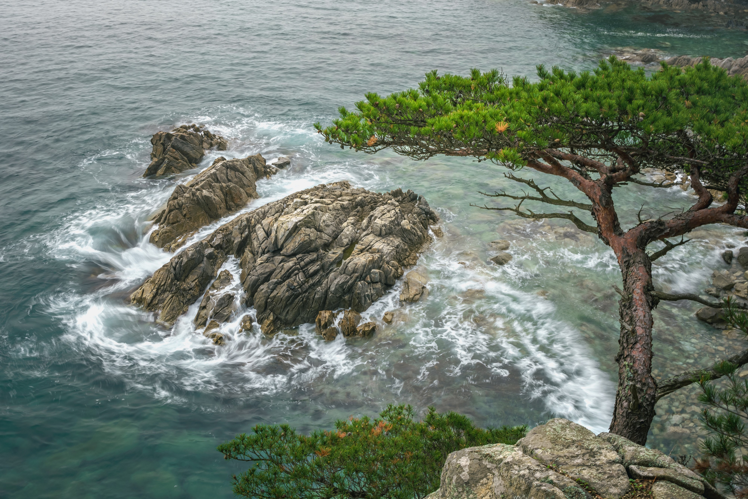 Весеннее Приморье. Май