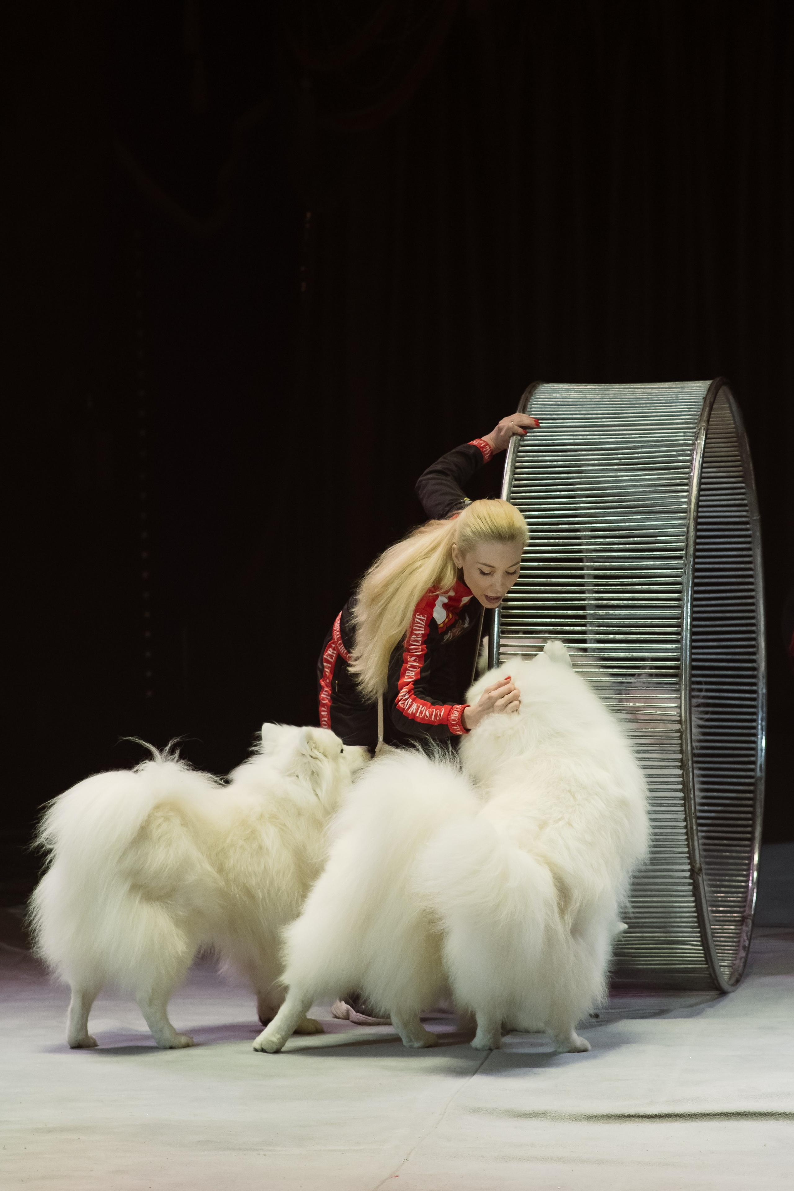 Репортаж. Фотограф Новосибирск Анна Рождественская