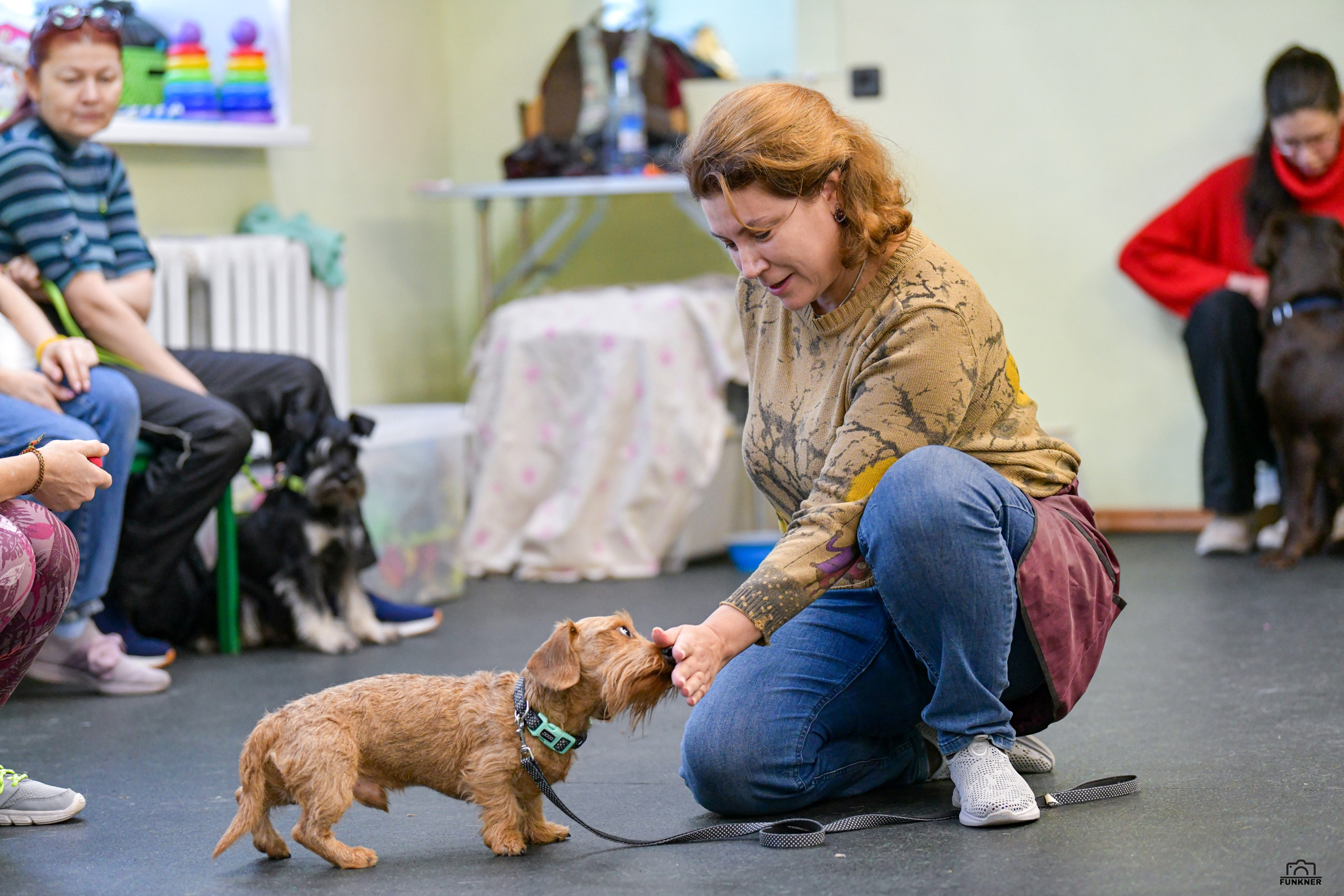 Кинологический клуб «Бодрый хвост». Свой взгляд через объектив