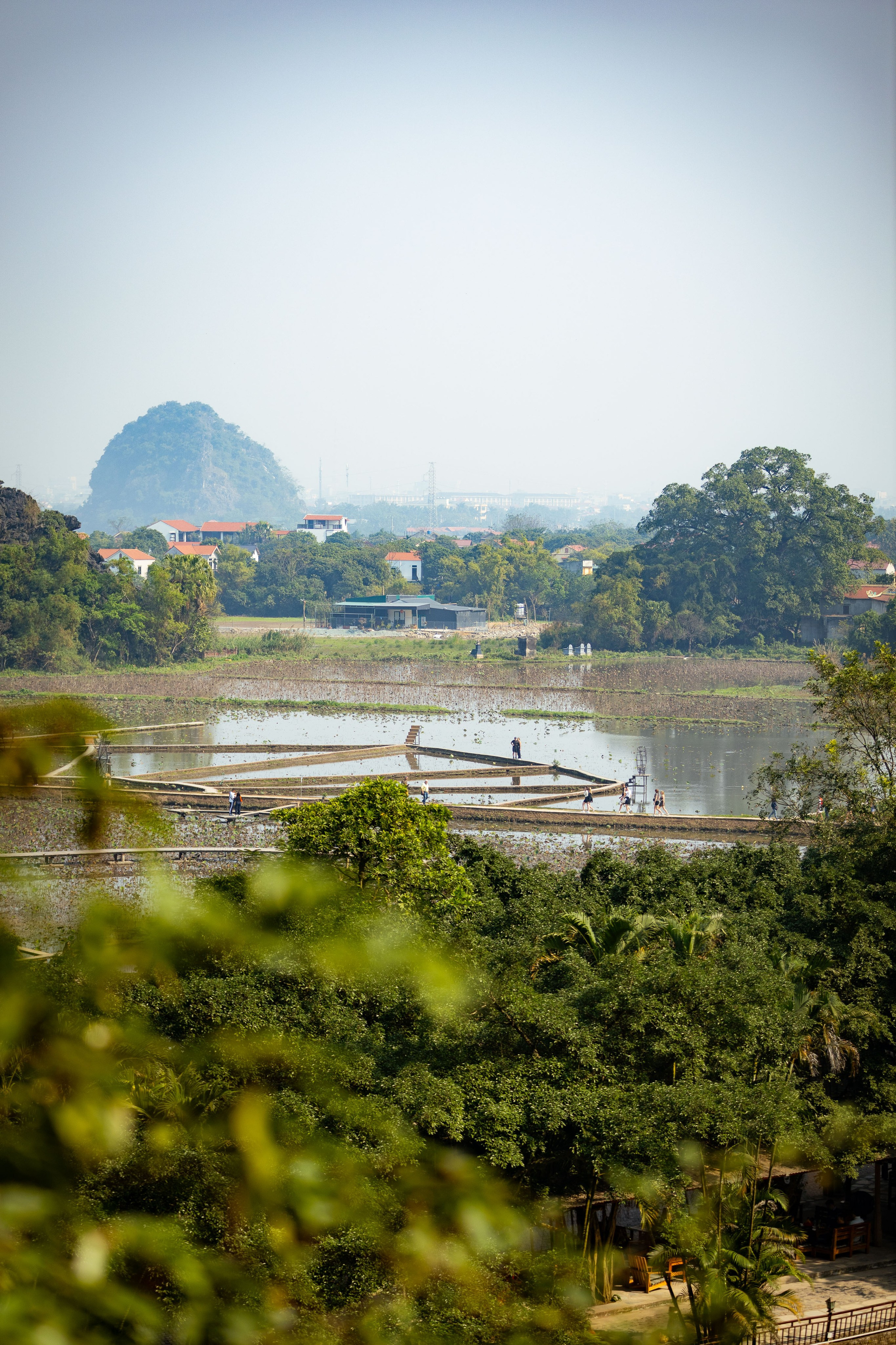 Вьетнам (зима 2025-2026). Фотограф Виноградов Константин