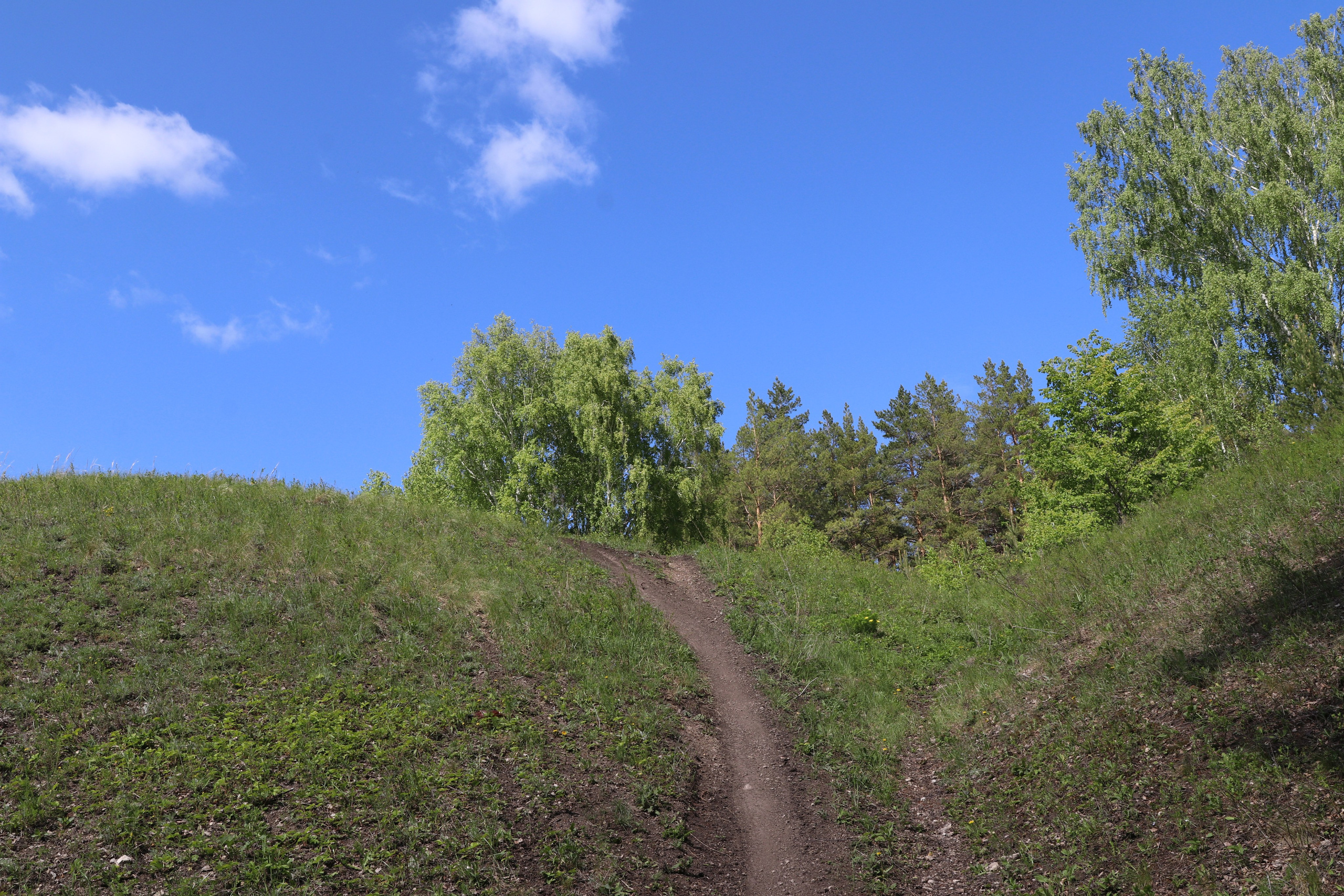 Велопоход Уфа — Мелеуз. Май 2024. Путешественник-фотограф из Санкт-Петербурга Татьяна Свистулина