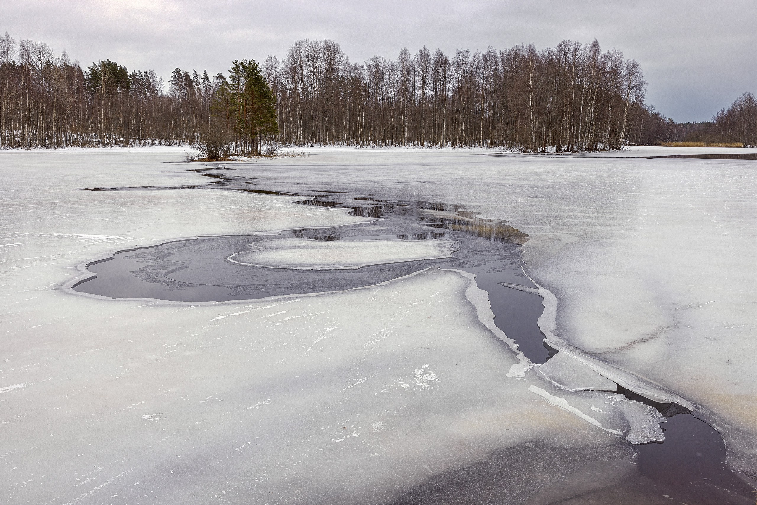 Пейзажи. Сайт фотографа Елены Михайловой. Фотосессии на пленэре в Сестрорецке