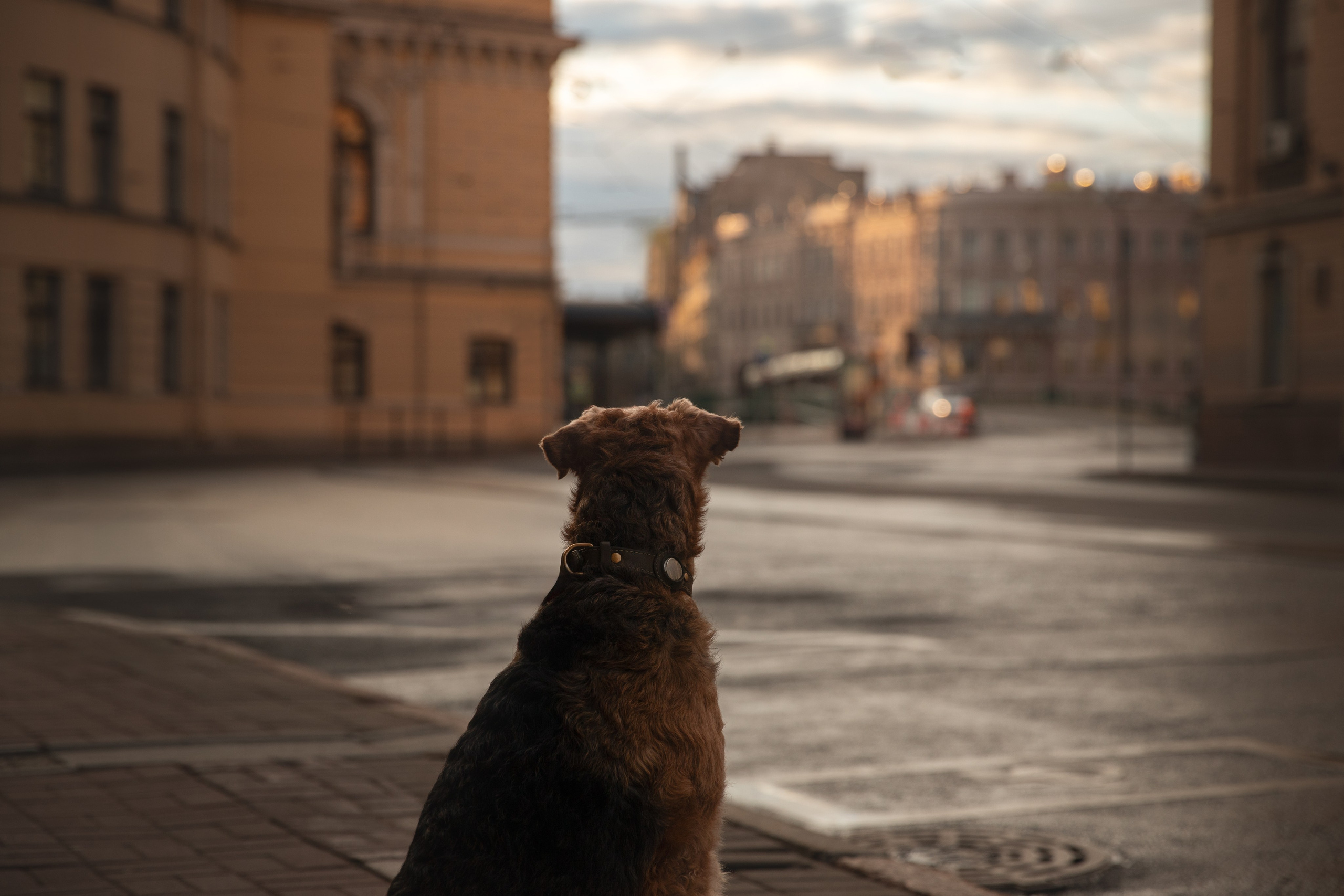 На природе и в городе. Фотограф-анималист в Калуге Мария Шерскова