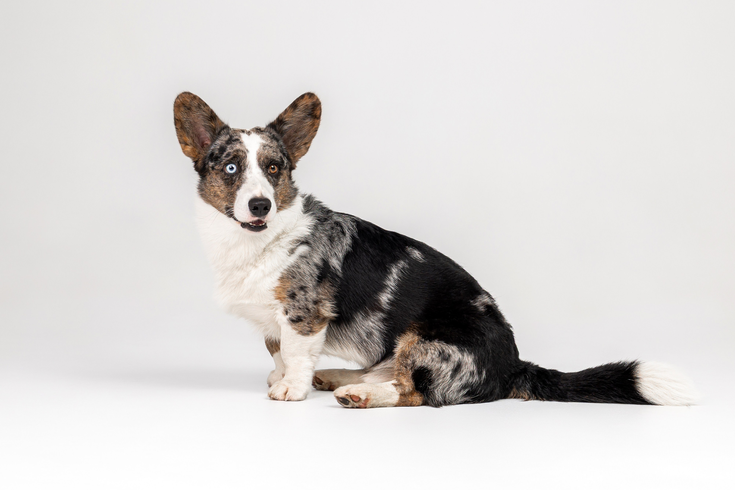 Анатолий и Рагнар