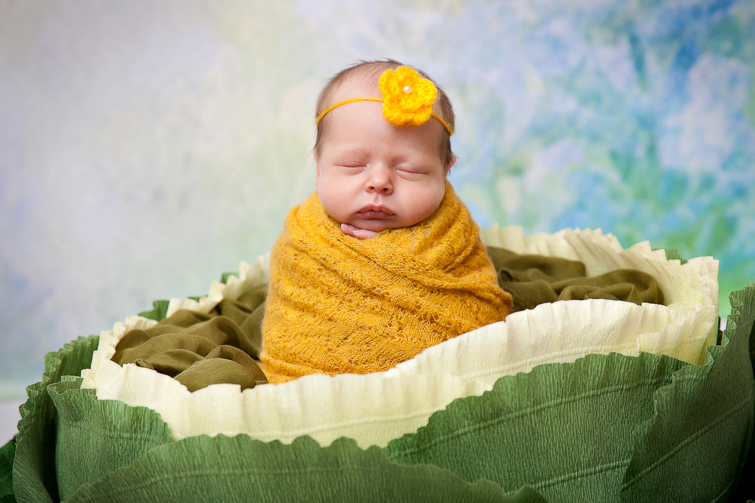 Новорожденные. Семейный, детский, newborn фотограф Москва,Московская обл Алла Риэр