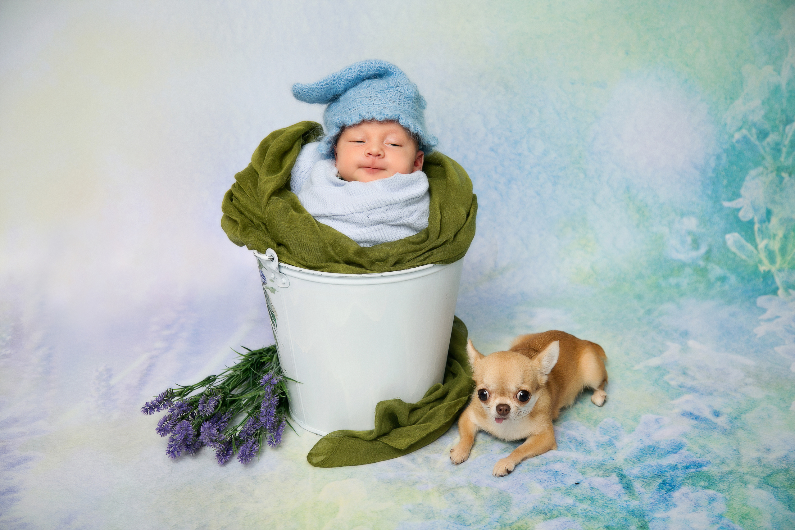 Новорожденные. Семейный, детский, newborn фотограф Москва,Московская обл Алла Риэр