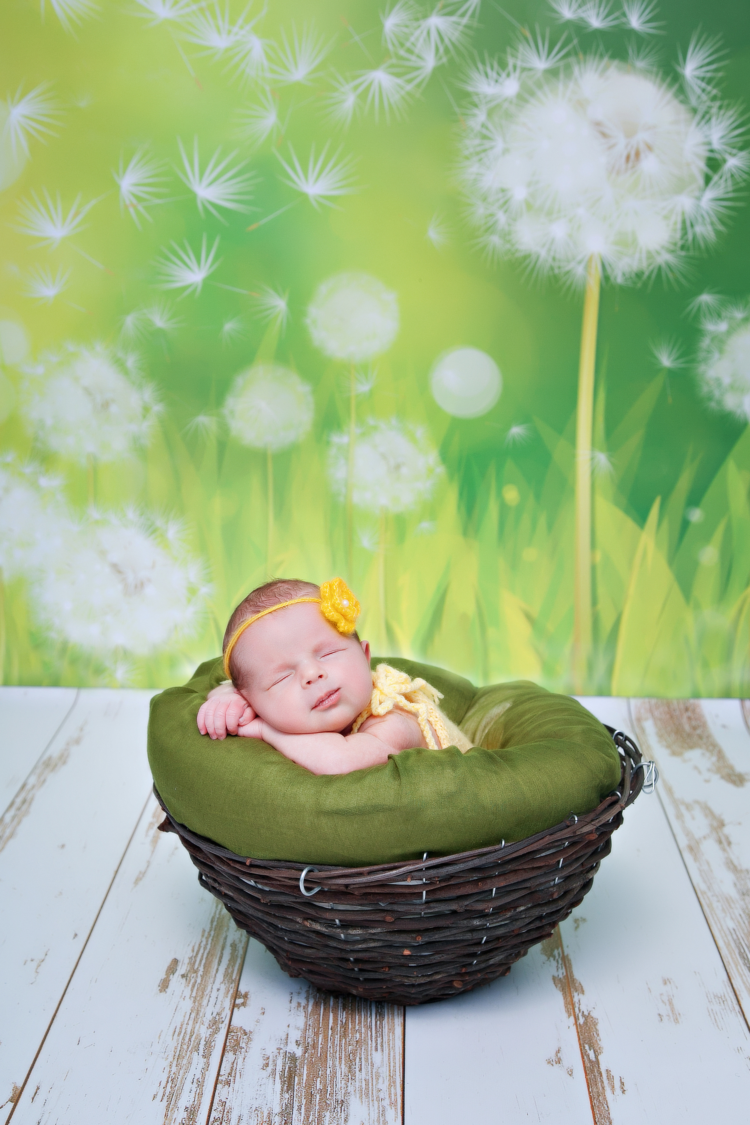 Новорожденные. Семейный, детский, newborn фотограф Москва,Московская обл Алла Риэр