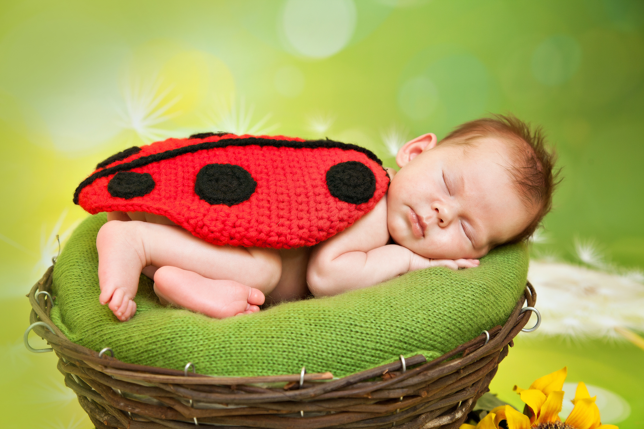 Новорожденные. Семейный, детский, newborn фотограф Москва,Московская обл Алла Риэр