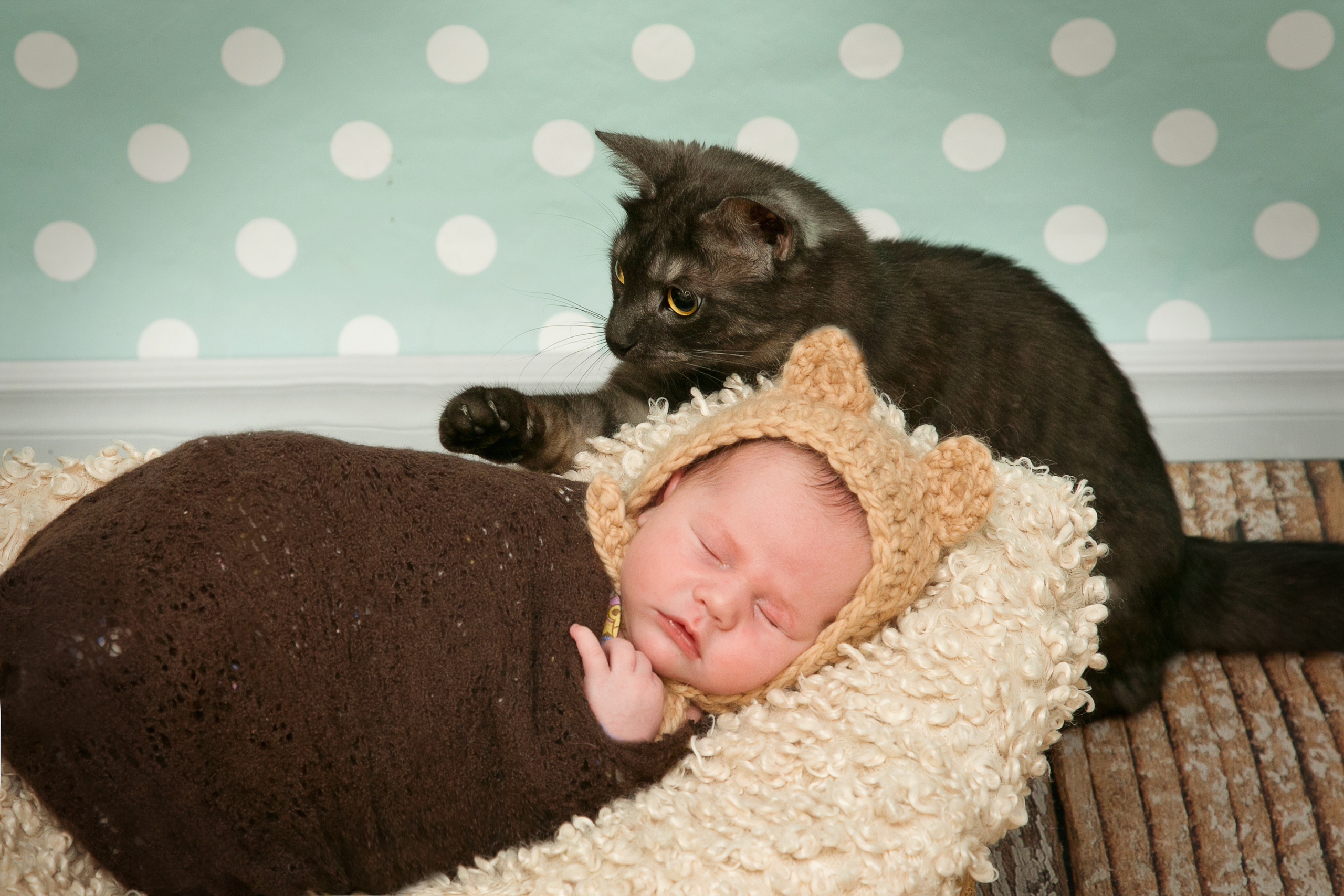 Новорожденные. Семейный, детский, newborn фотограф Москва,Московская обл Алла Риэр