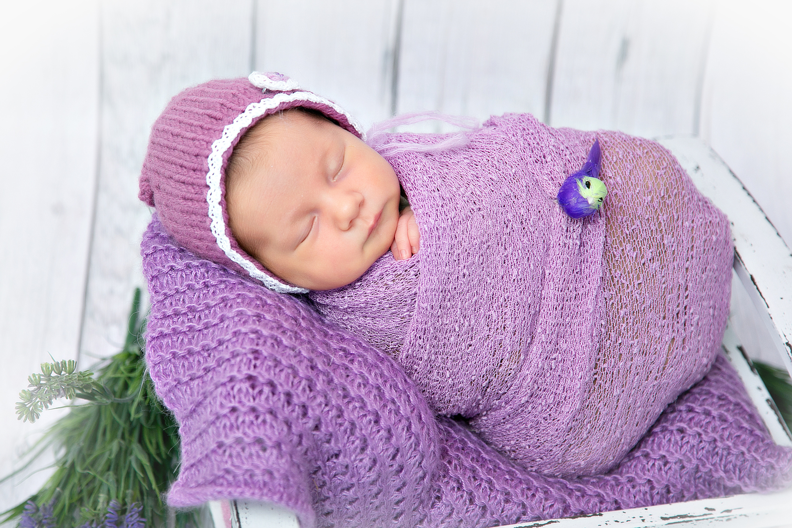 Новорожденные. Семейный, детский, newborn фотограф Москва,Московская обл Алла Риэр