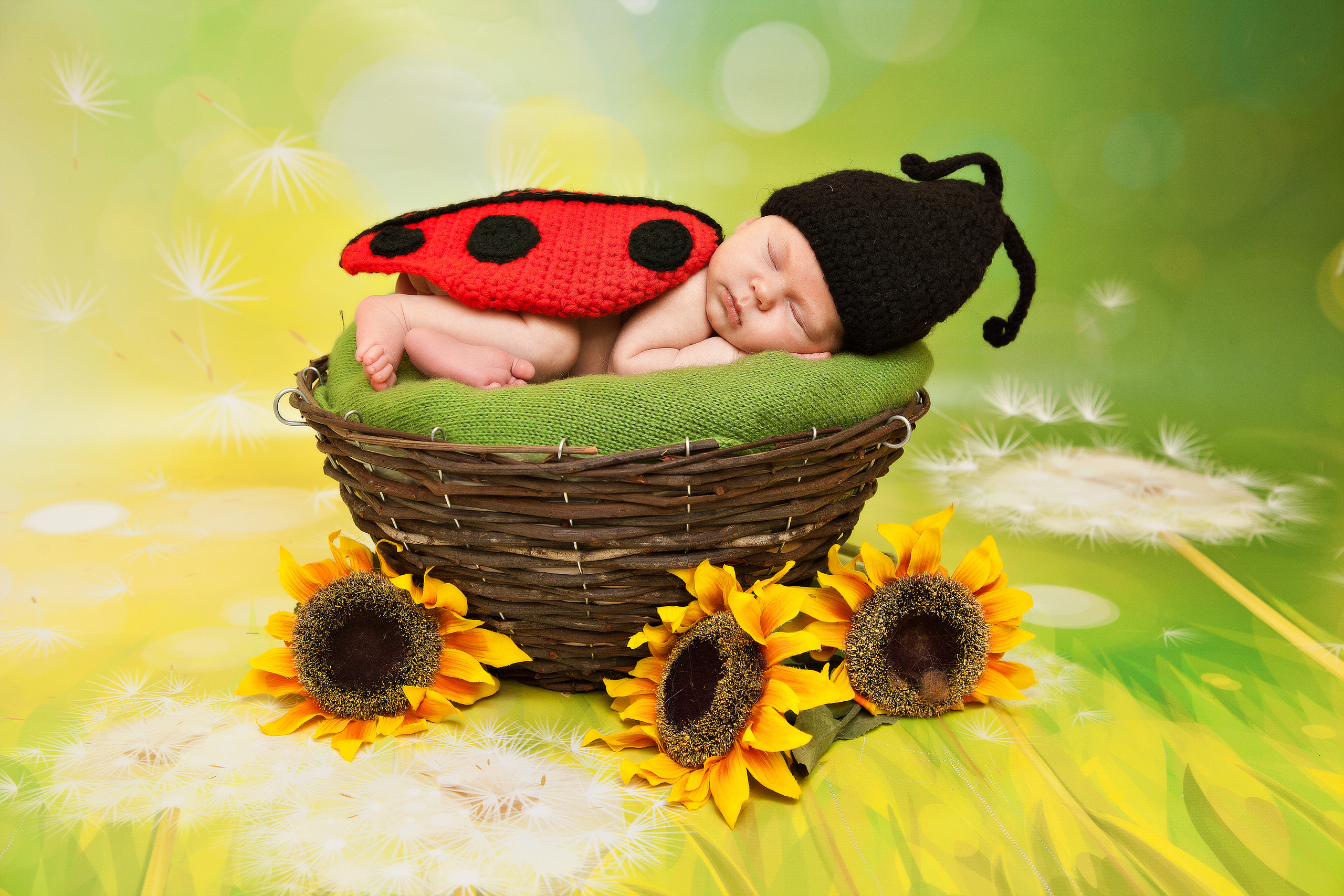 Новорожденные. Семейный, детский, newborn фотограф Москва,Московская обл Алла Риэр