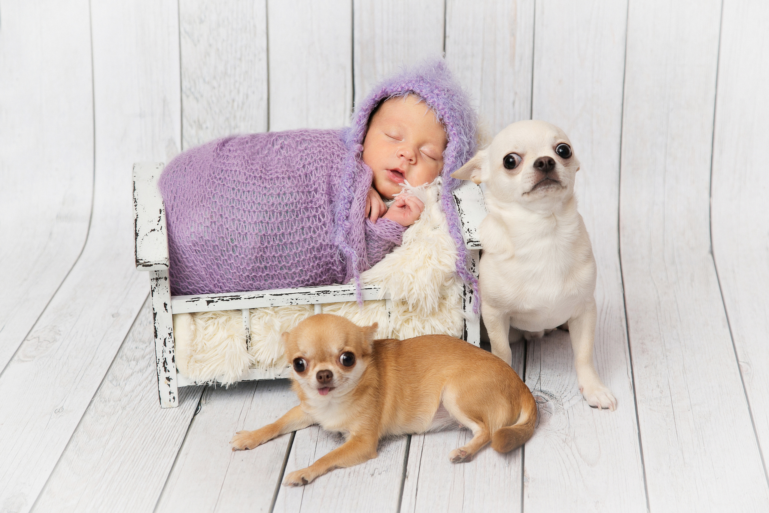 Новорожденные. Семейный, детский, newborn фотограф Москва,Московская обл Алла Риэр