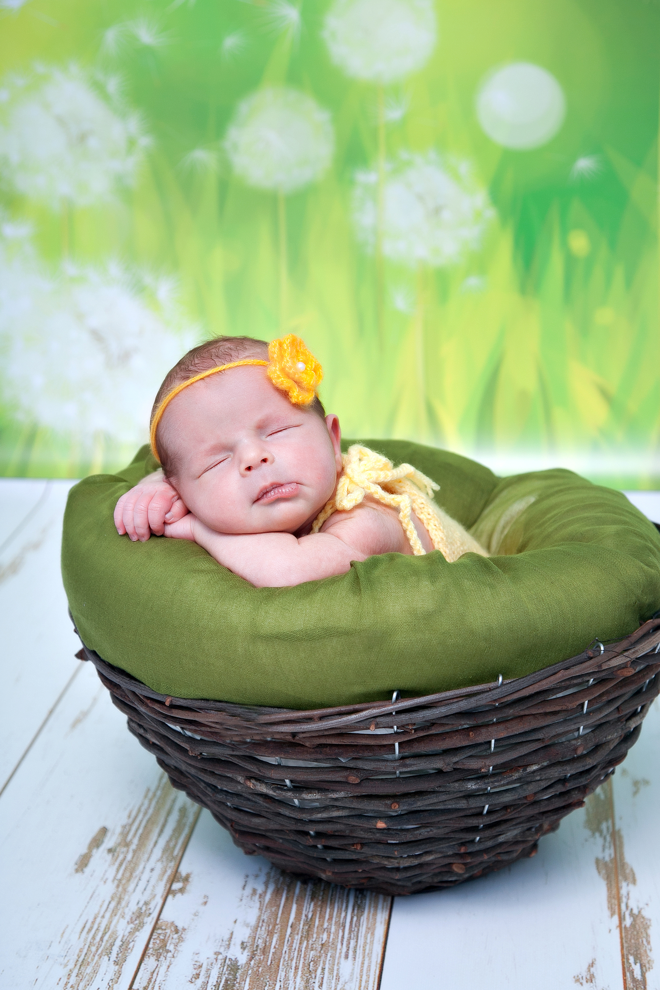 Новорожденные. Семейный, детский, newborn фотограф Москва,Московская обл Алла Риэр