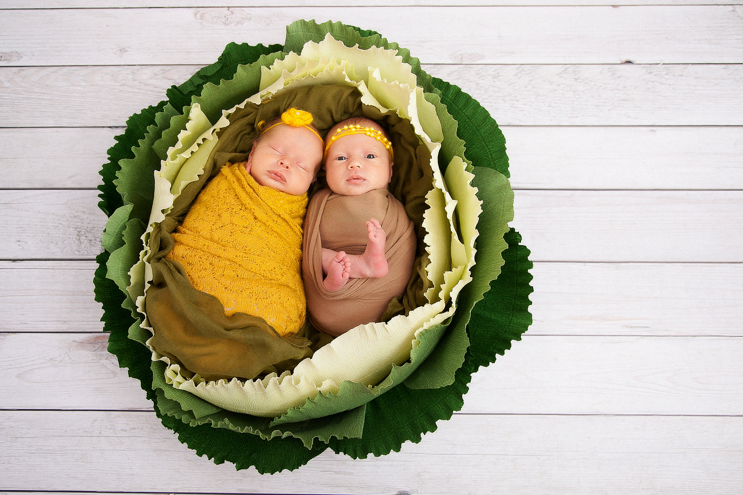 Новорожденные. Семейный, детский, newborn фотограф Москва,Московская обл Алла Риэр