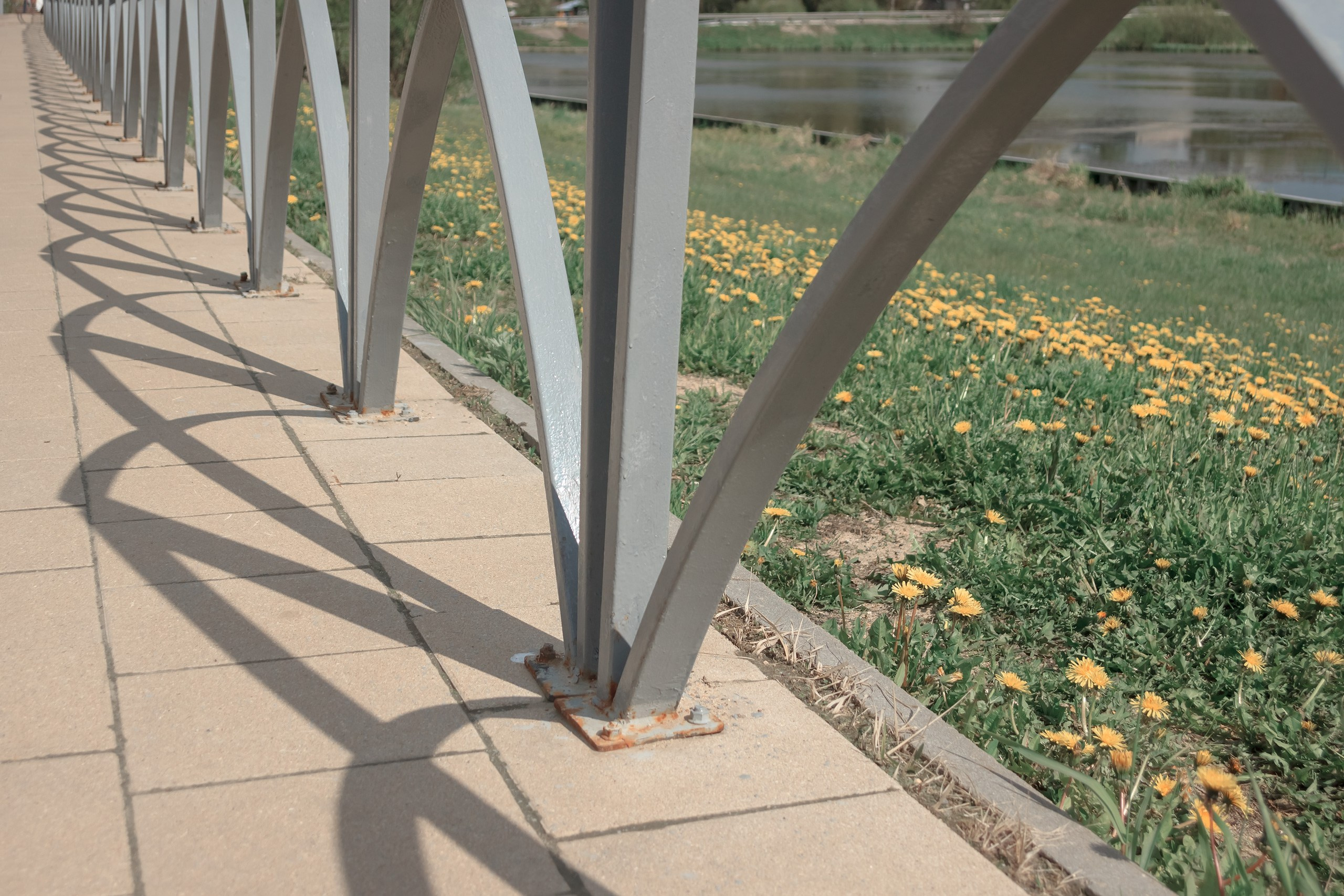 О Любви. Аmat Victoria Сuram