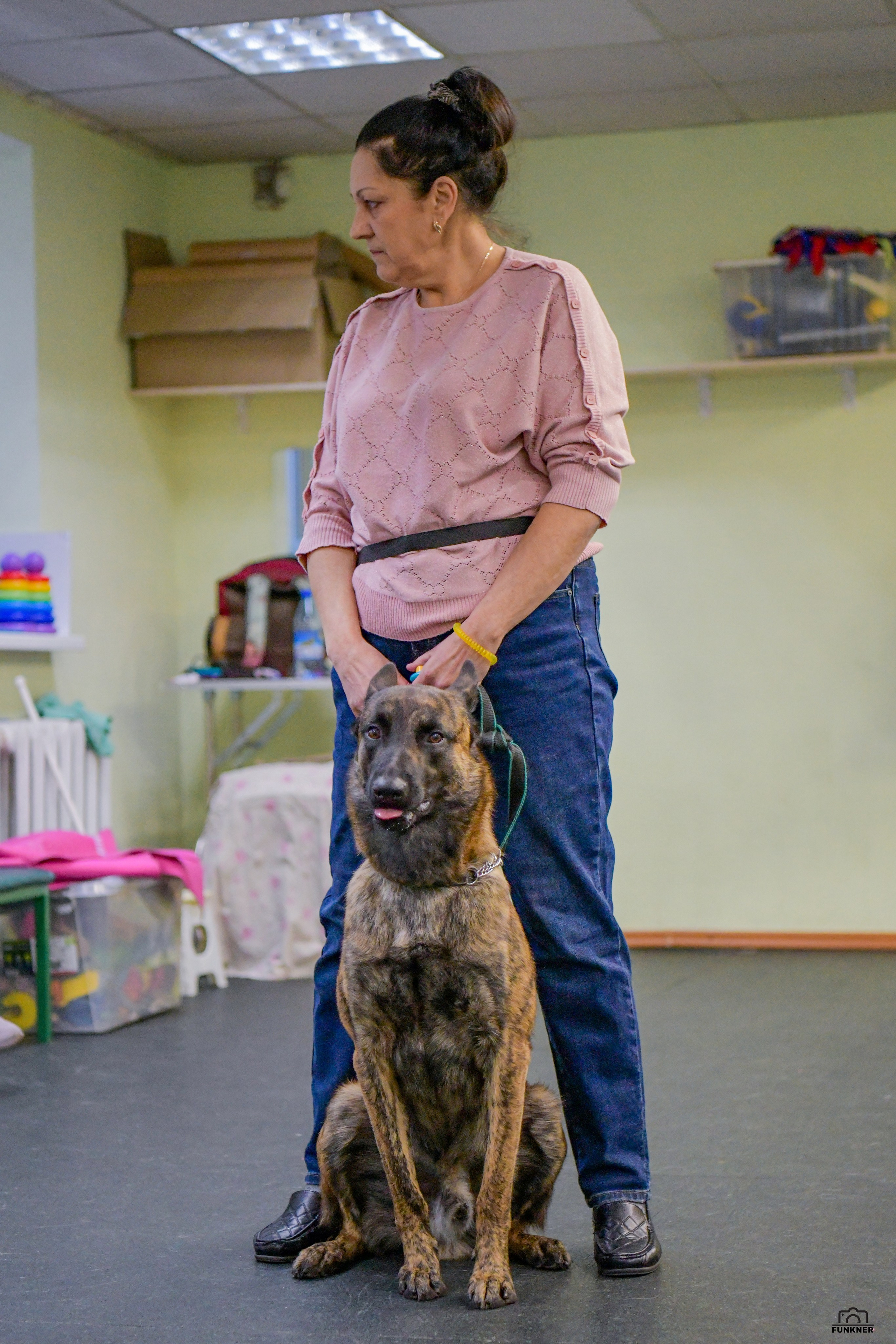 Кинологический клуб «Бодрый хвост». Свой взгляд через объектив