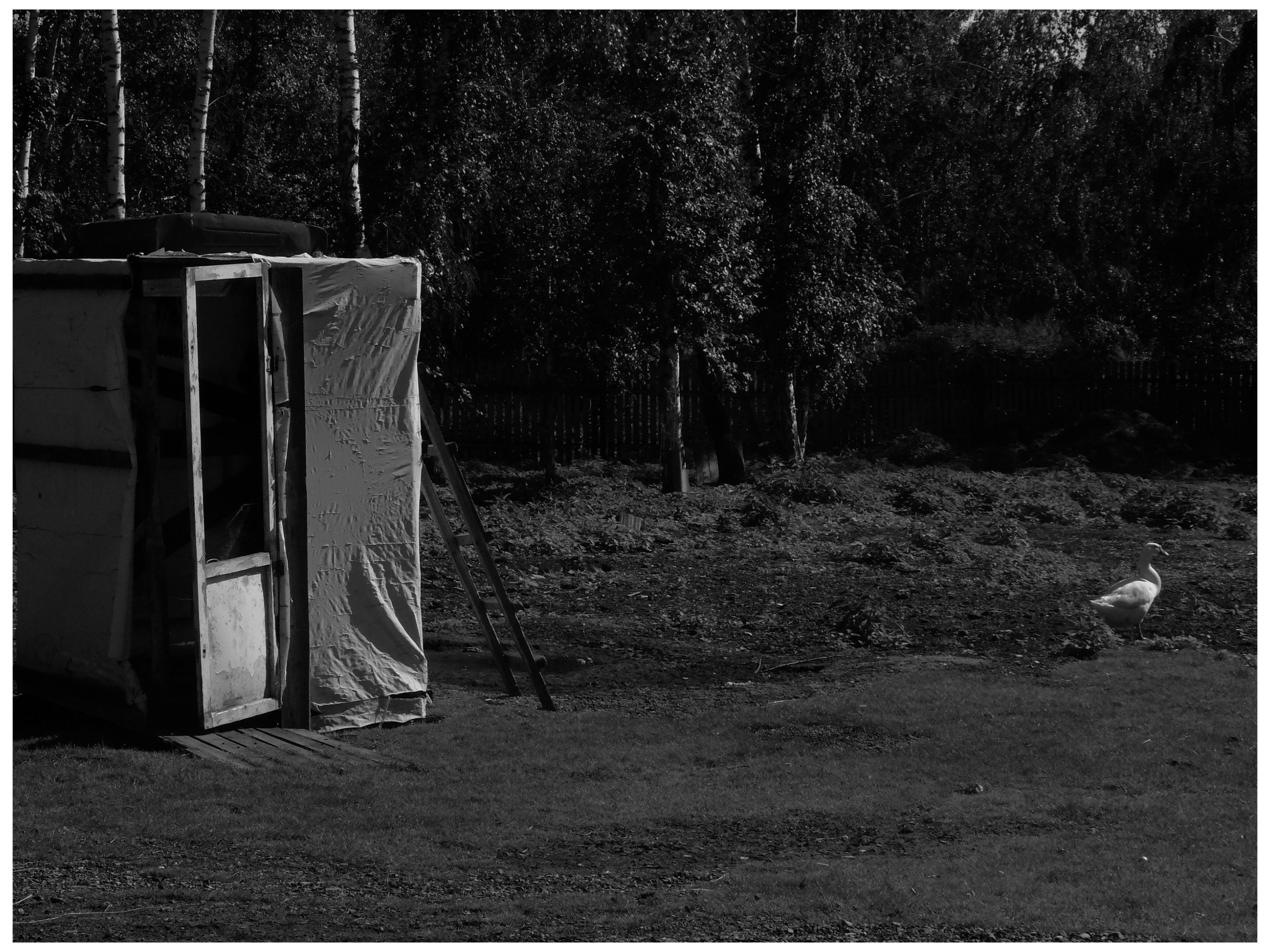 Промежуточные моменты (2022)