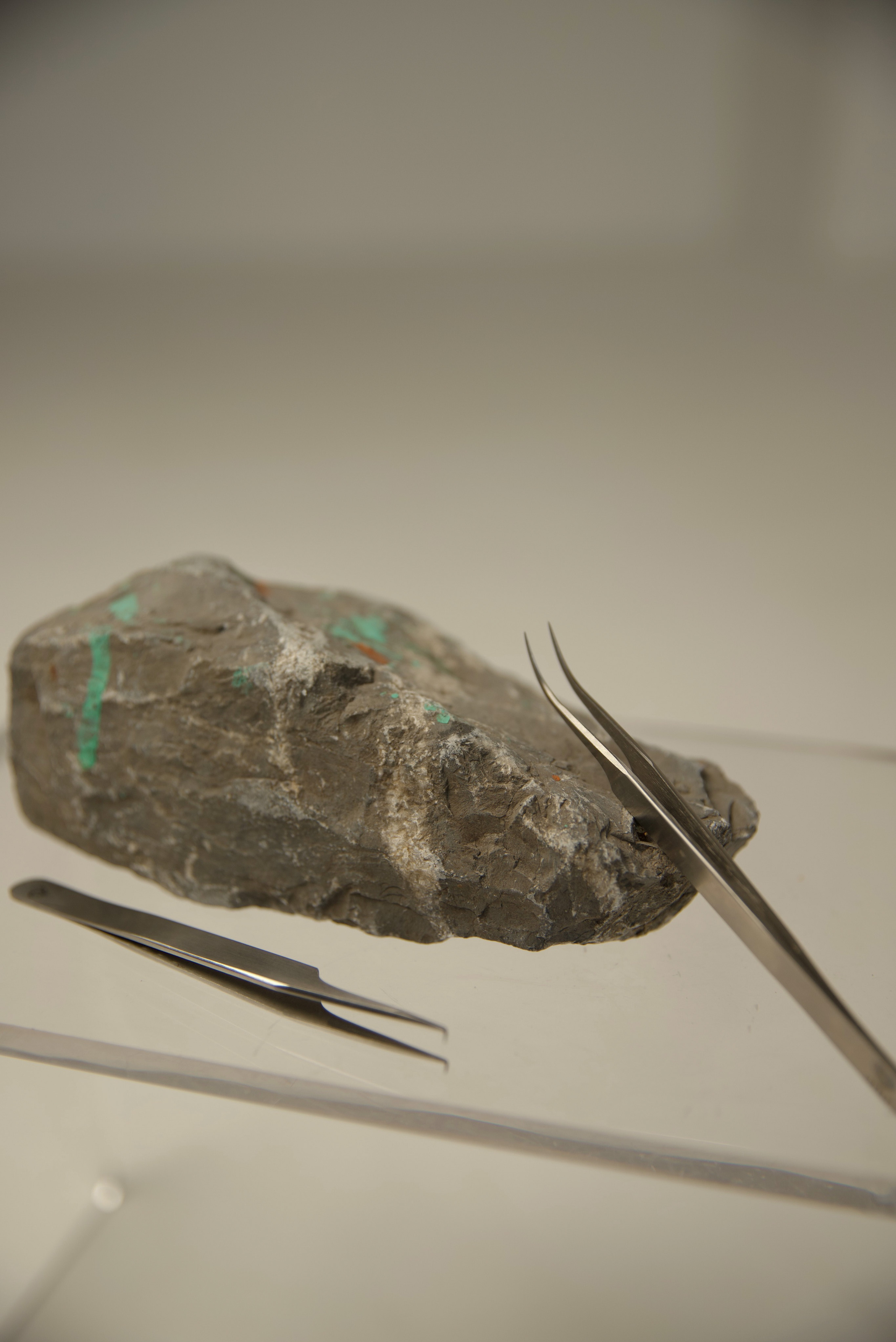 Студия красоты. Фотограф Велькер Марина