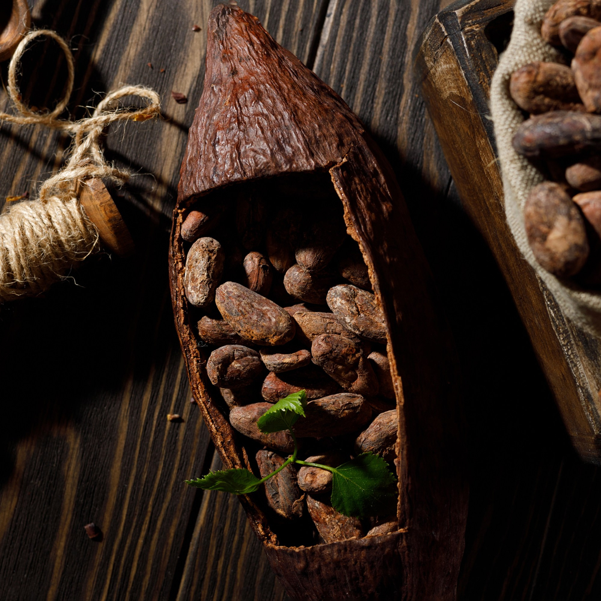 Шоколад. Фуд и предметный фотограф Гришина Ольга