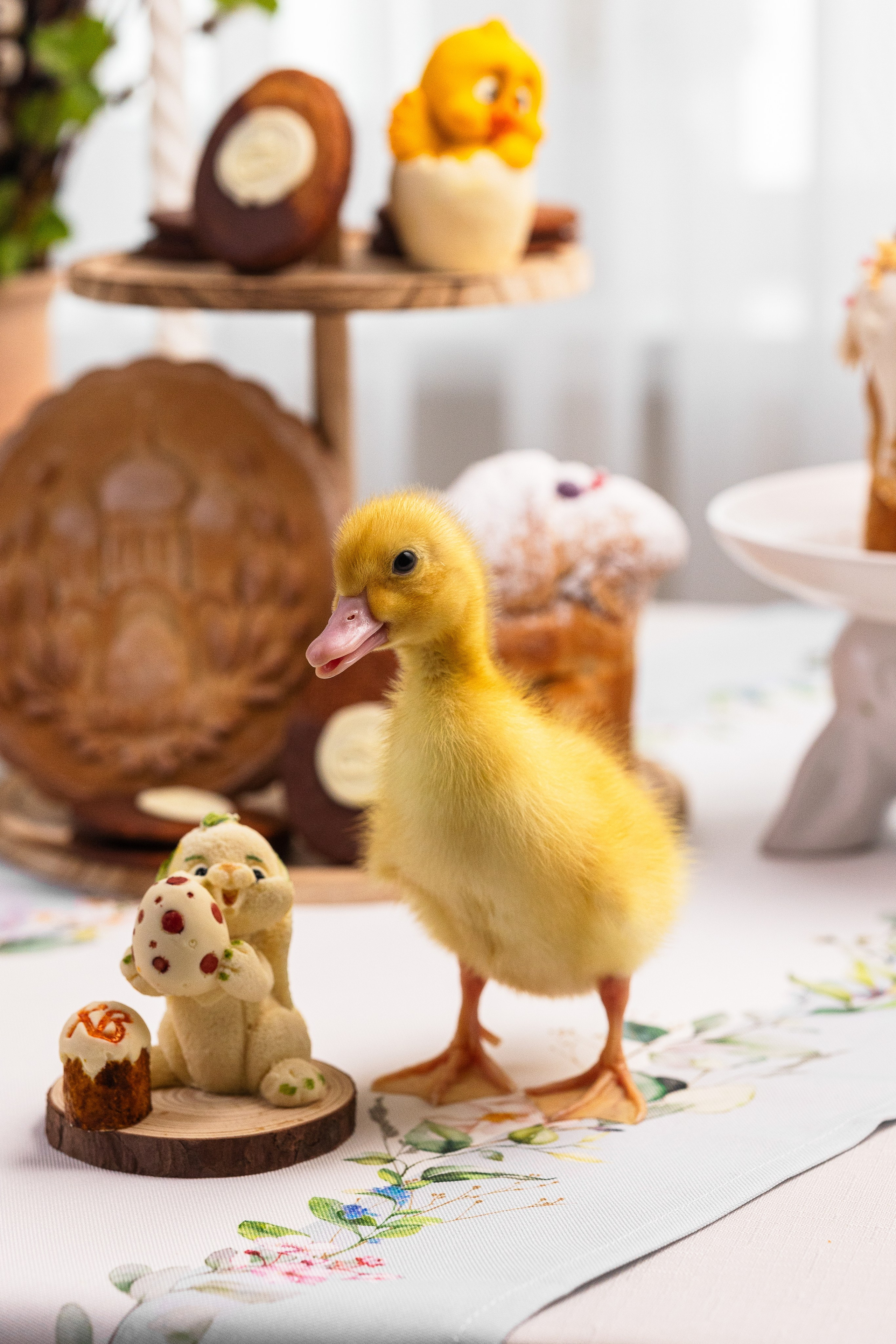 Предметный и фуд-фотограф Лариса Андреева г. Набережные Челны