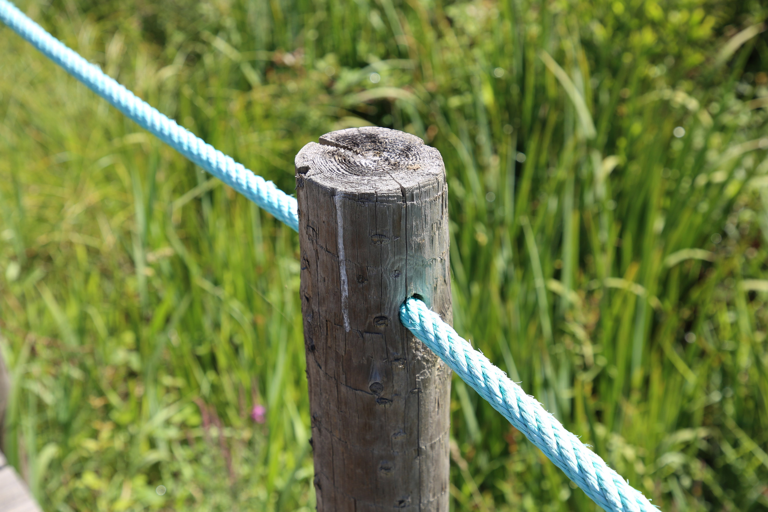 Esmoriz, Portugal. Andrey Filippov Photographer