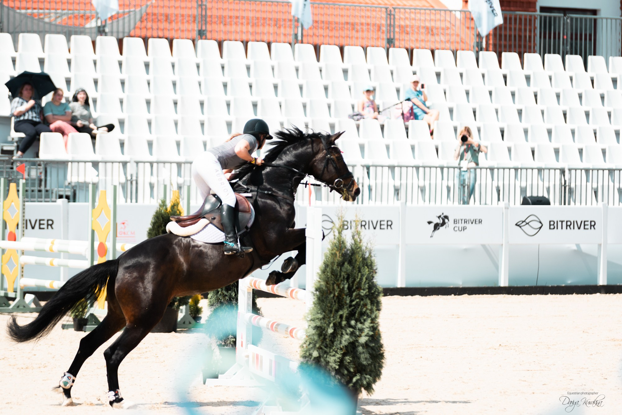 BITRIVER CUP 2023. Конный фотограф Куракина Дарья • Фотосессии с лошадьми