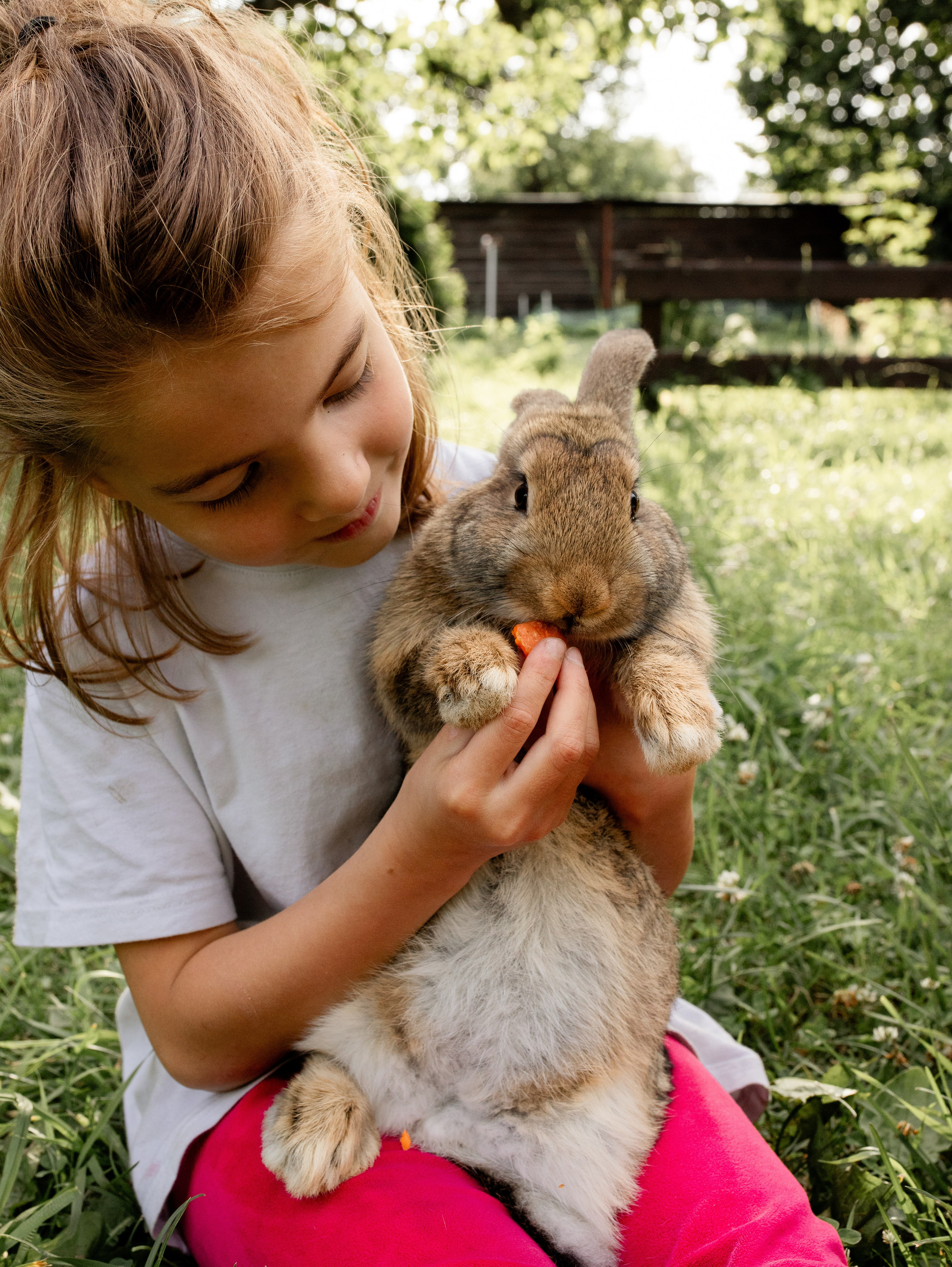 Кролики 2023. Семейный фотограф в Санкт-Петербурге Ирина Иванова