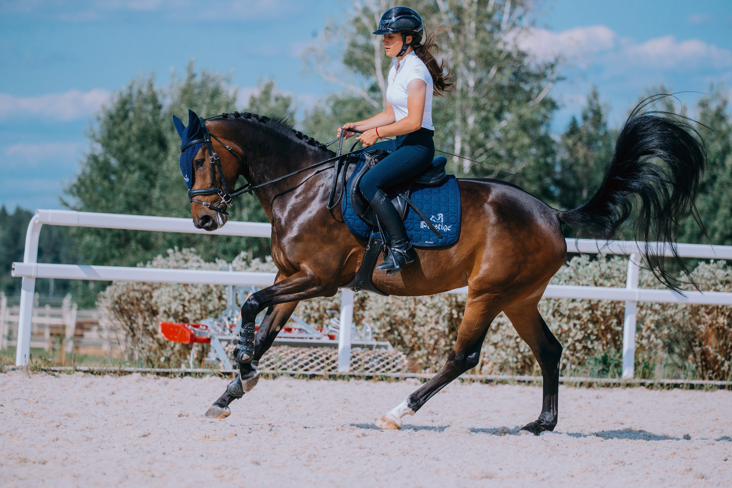 Тренировки. Фотограф-анималист Ксендзова Кристина