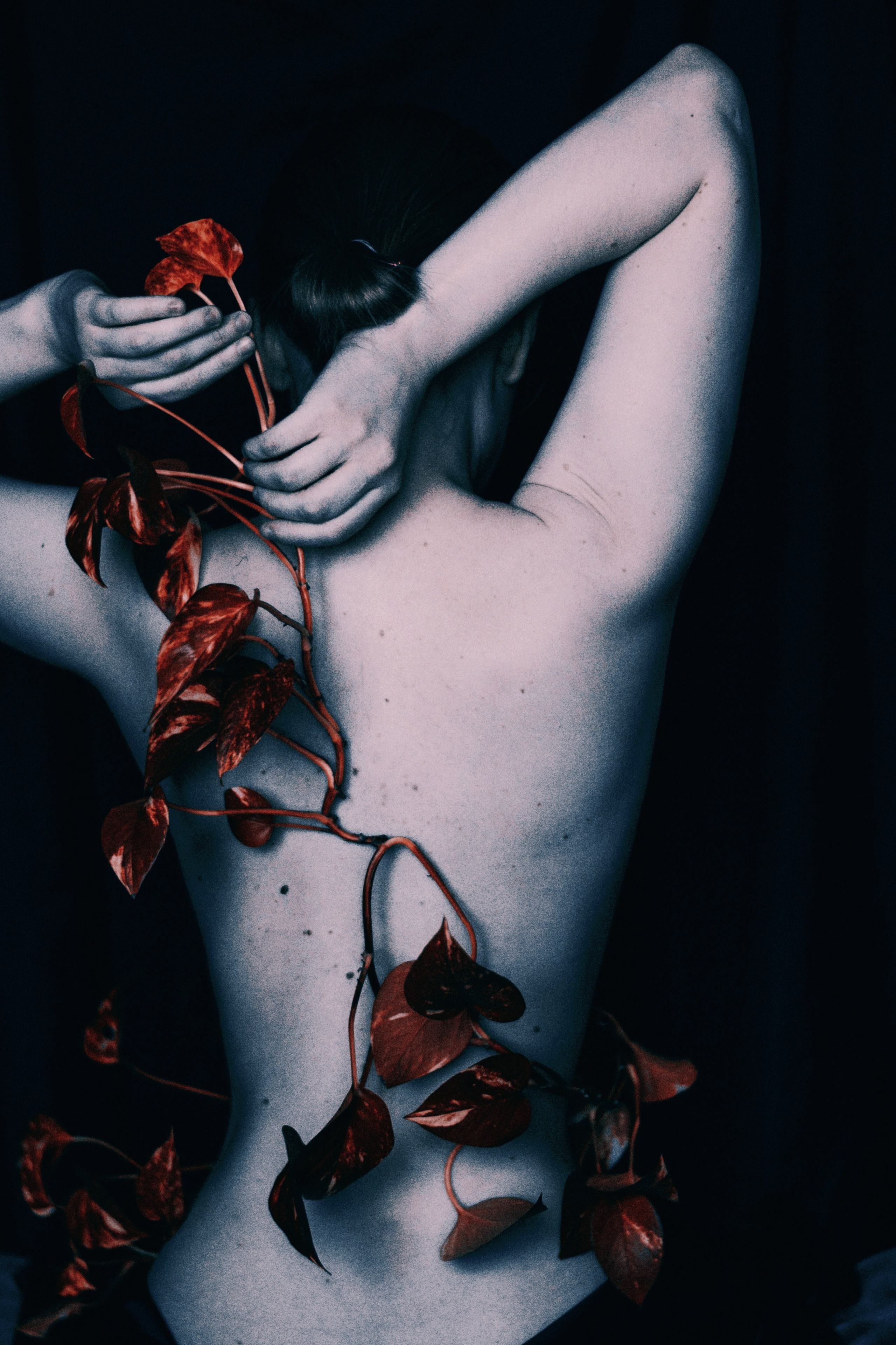 Концептуальная съемка: сочетание органических форм и портрета